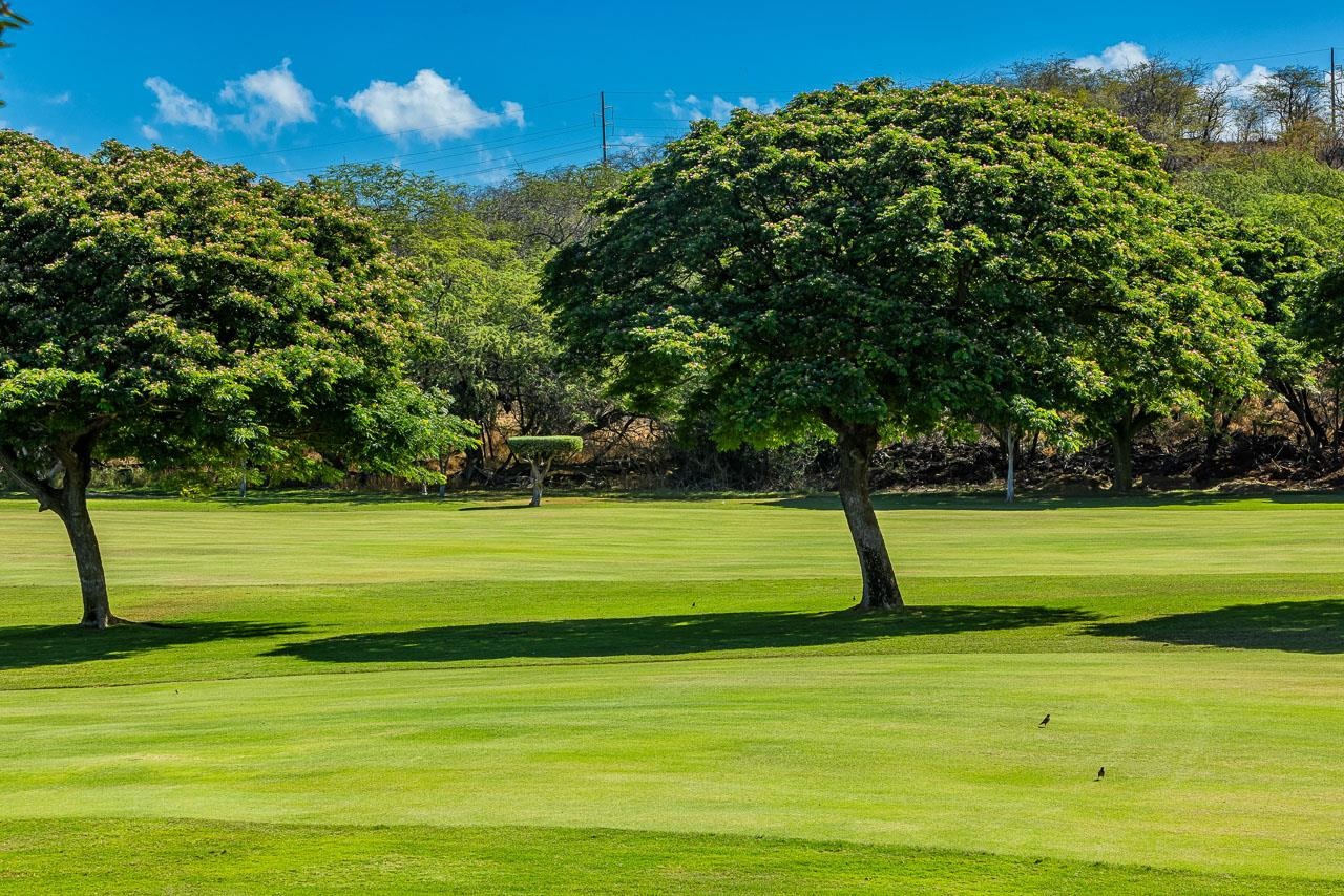 Grand Champions condo # 140, Kihei, Hawaii - photo 43 of 43