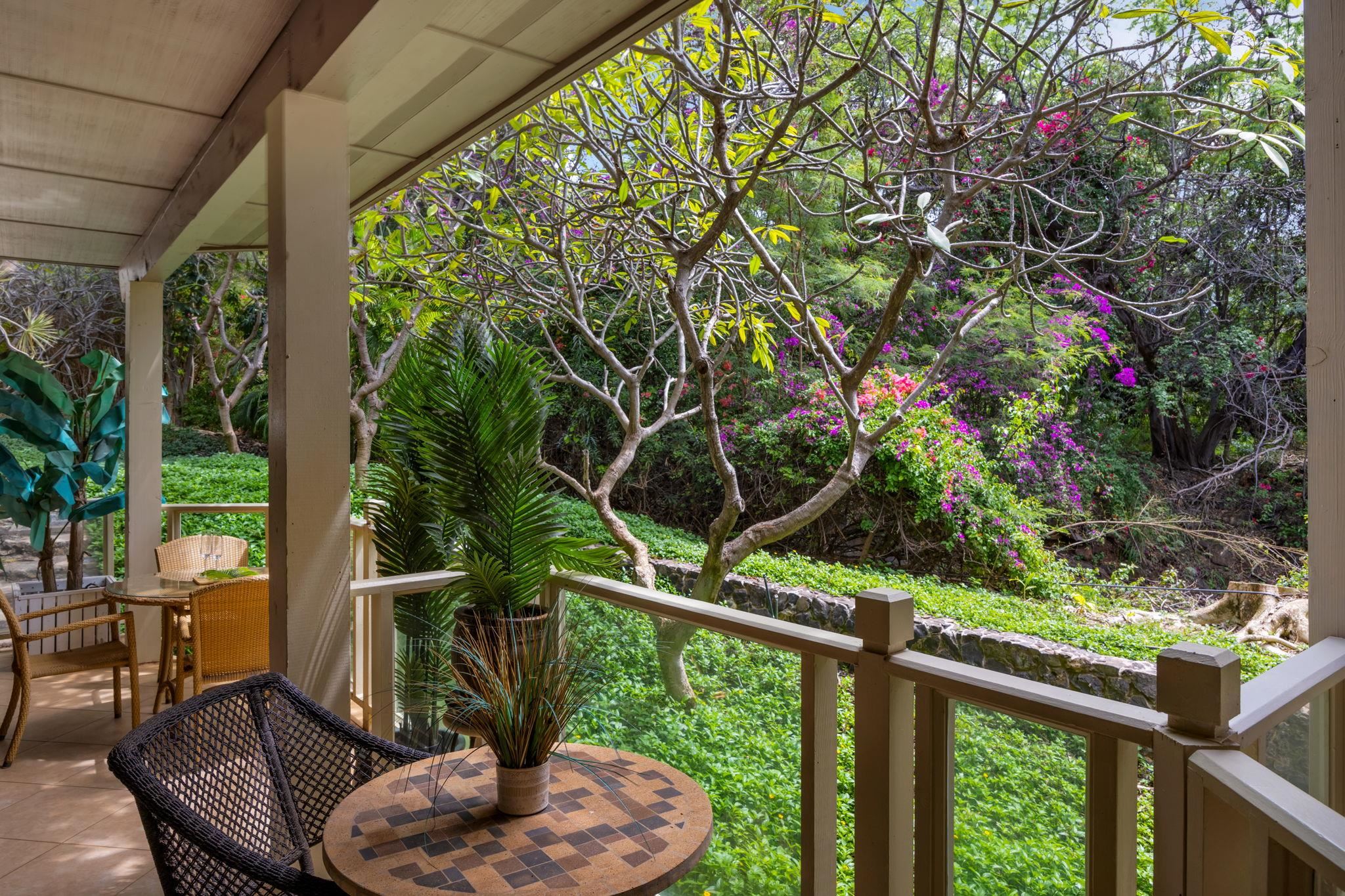 Grand Champions condo # 16, Kihei, Hawaii - photo 15 of 40