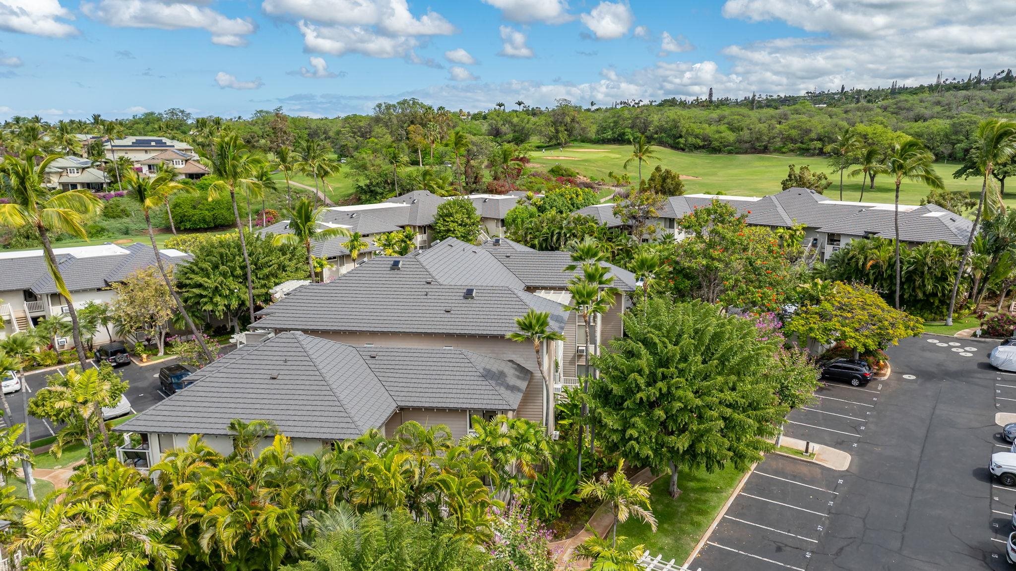 Grand Champions condo # 16, Kihei, Hawaii - photo 31 of 40