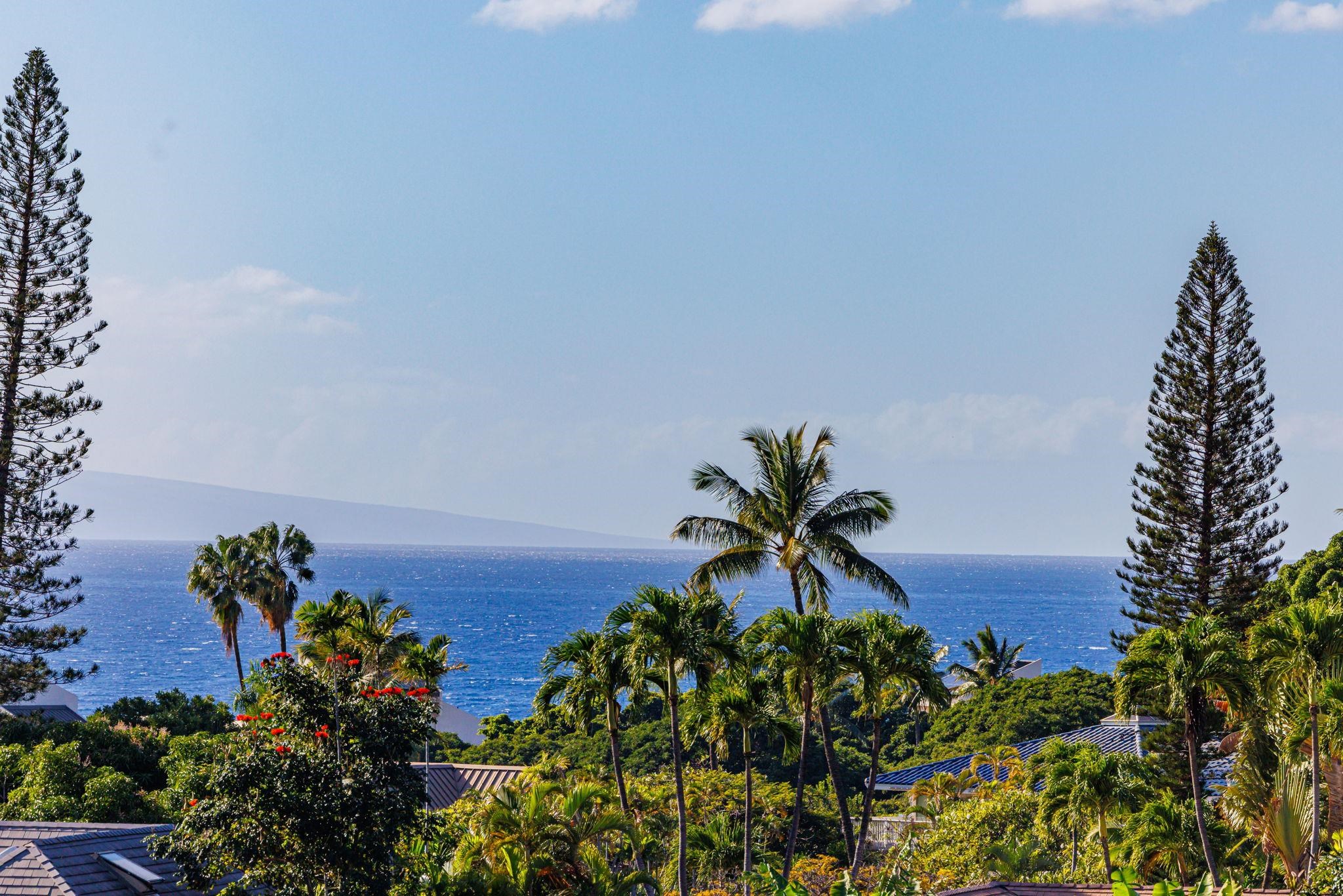 Grand Champions condo # 166, Kihei, Hawaii - photo 18 of 25