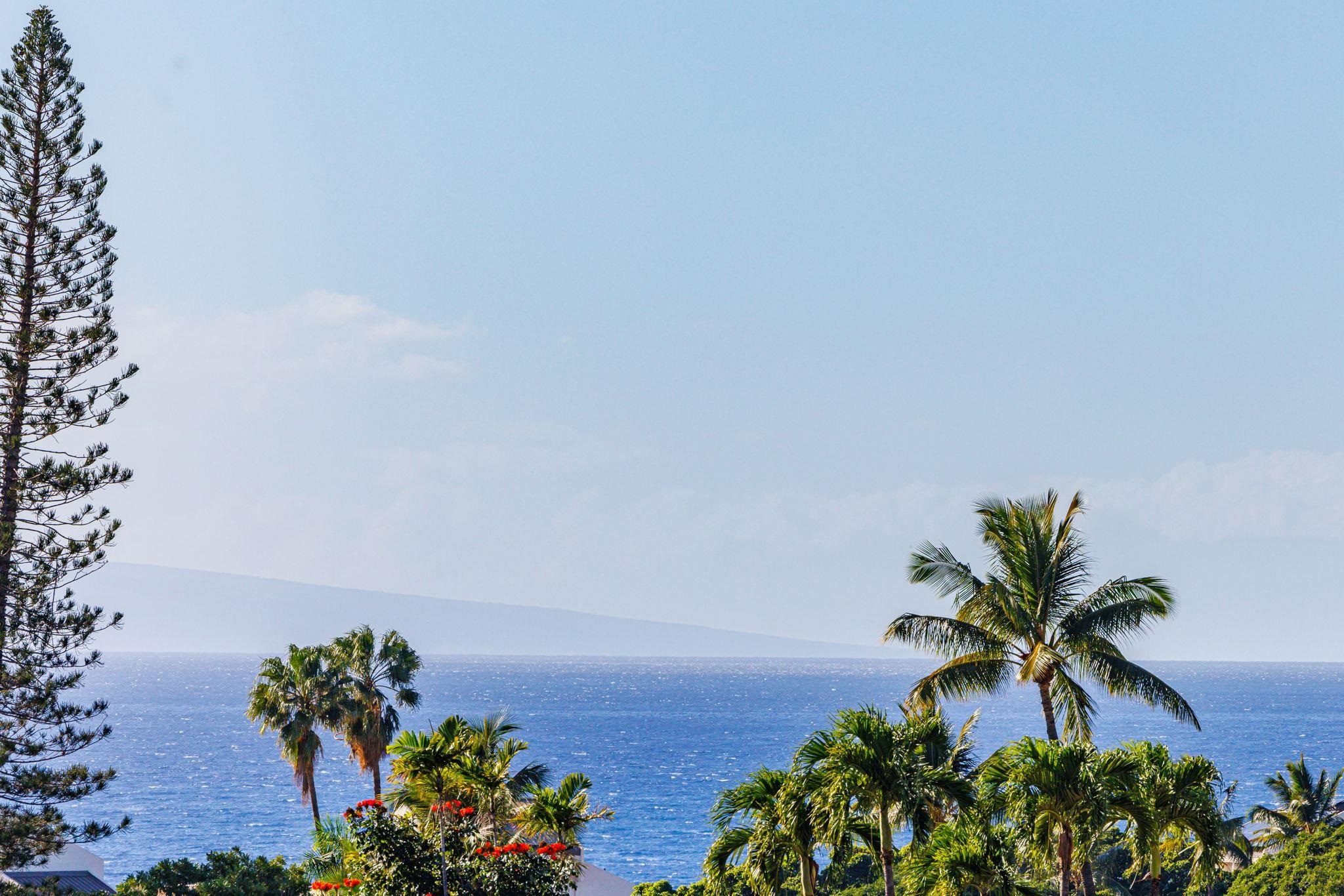 Grand Champions condo # 166, Kihei, Hawaii - photo 9 of 25