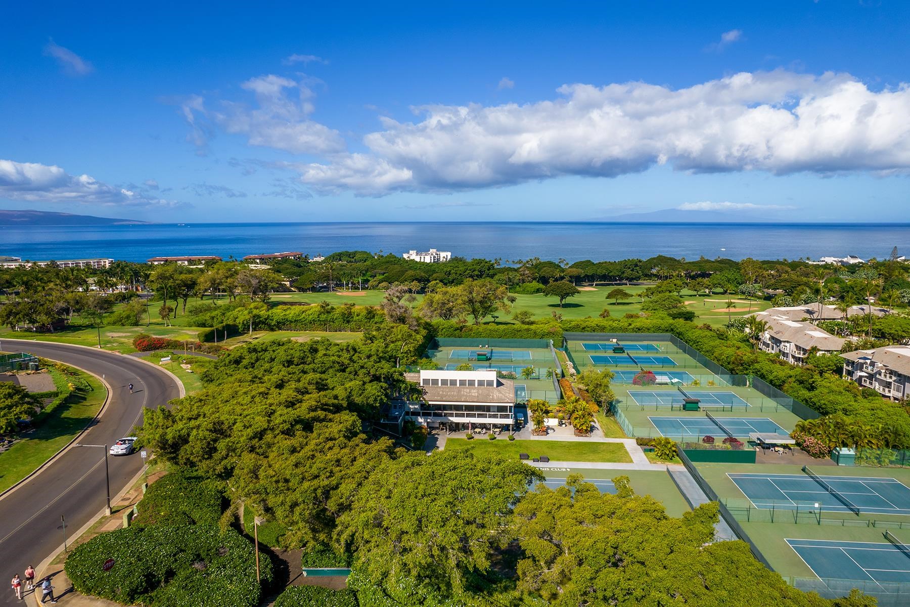 Grand Champions condo # 172, Kihei, Hawaii - photo 23 of 40