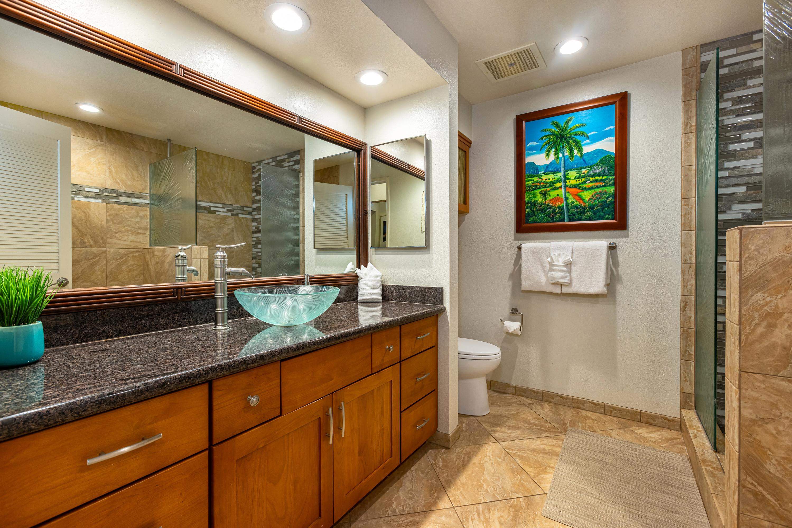 Grand Champions condo # 29, Kihei, Hawaii - photo 21 of 31