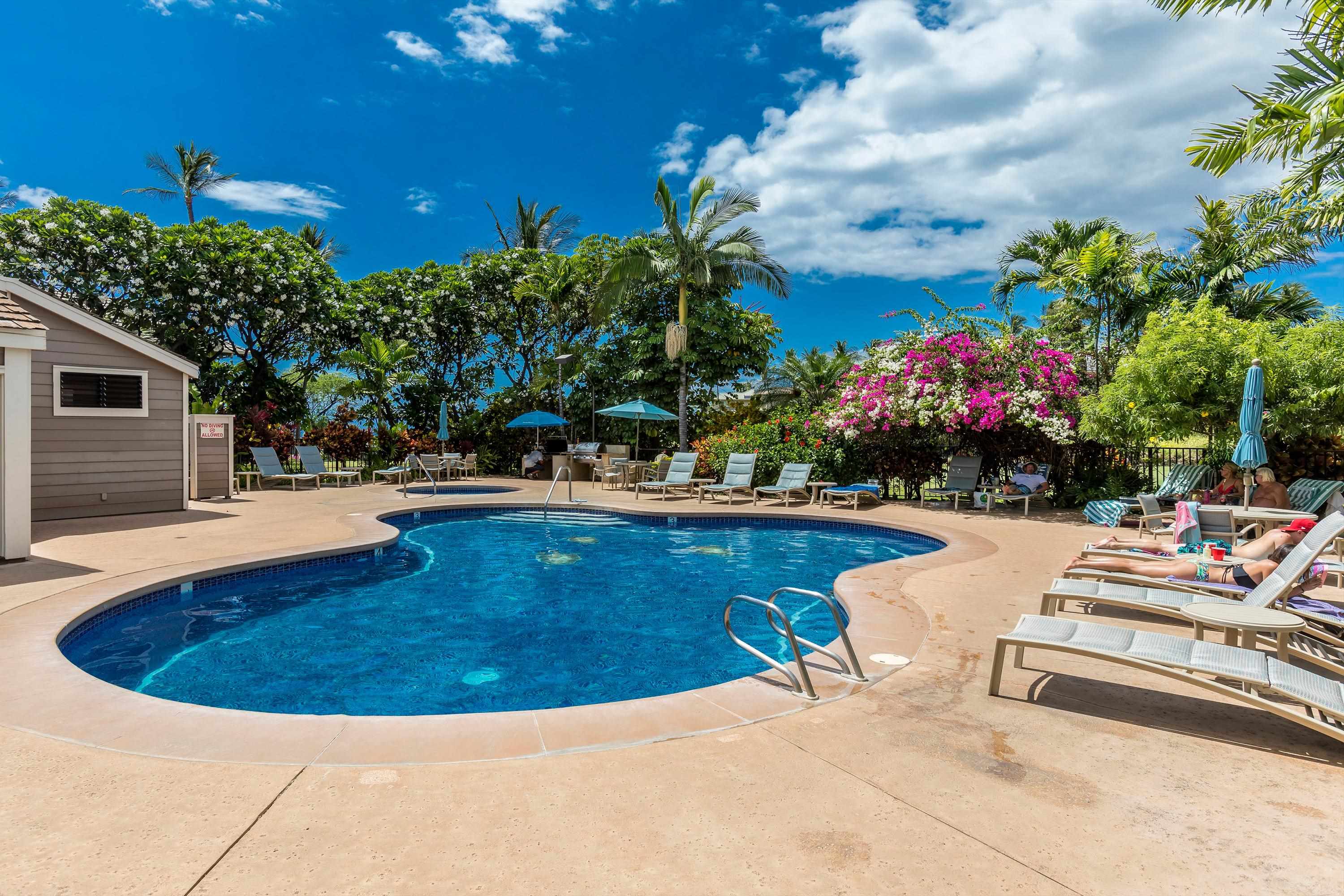 Grand Champions condo # 29, Kihei, Hawaii - photo 17 of 31