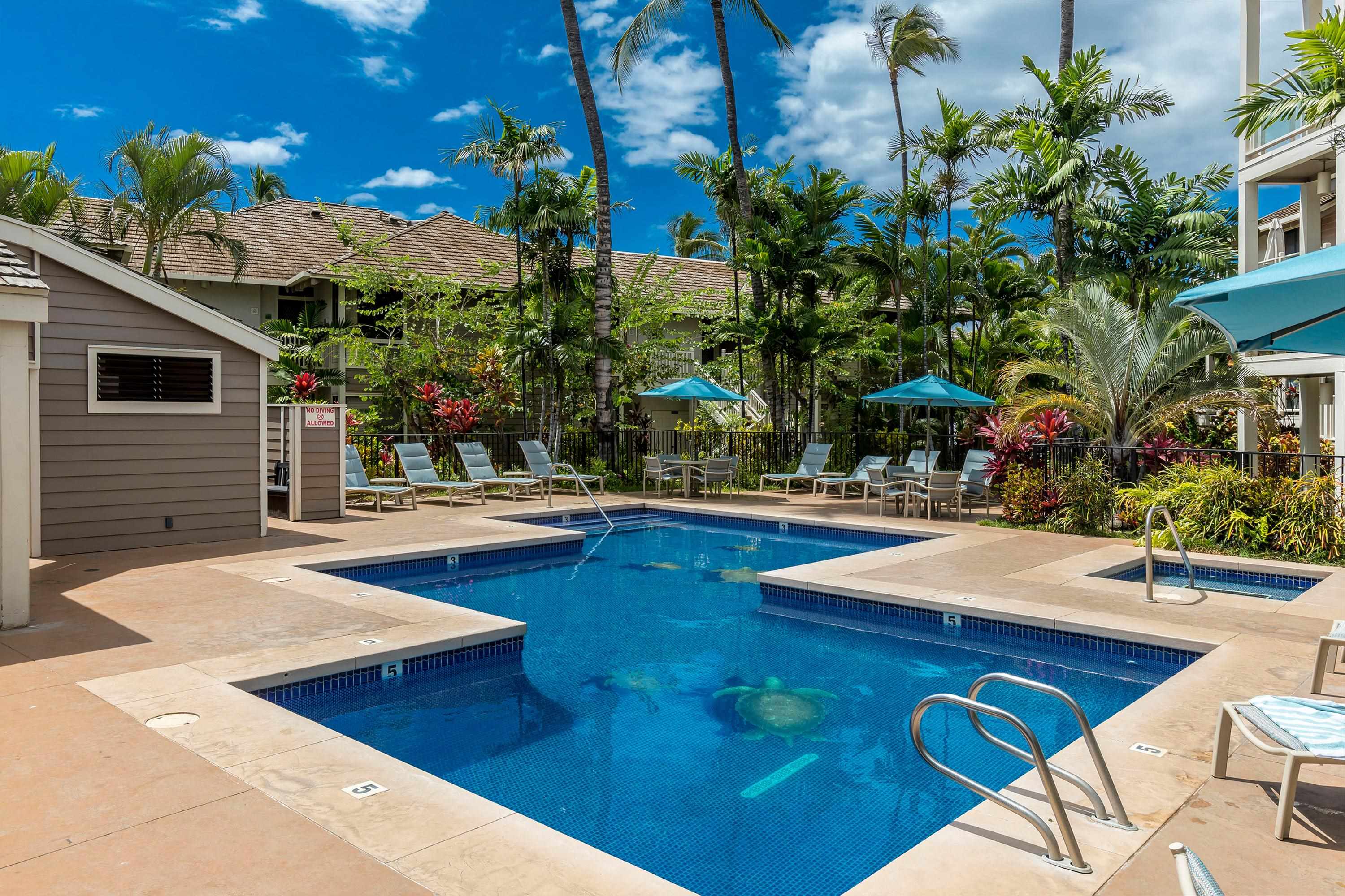 Grand Champions condo # 29, Kihei, Hawaii - photo 9 of 31