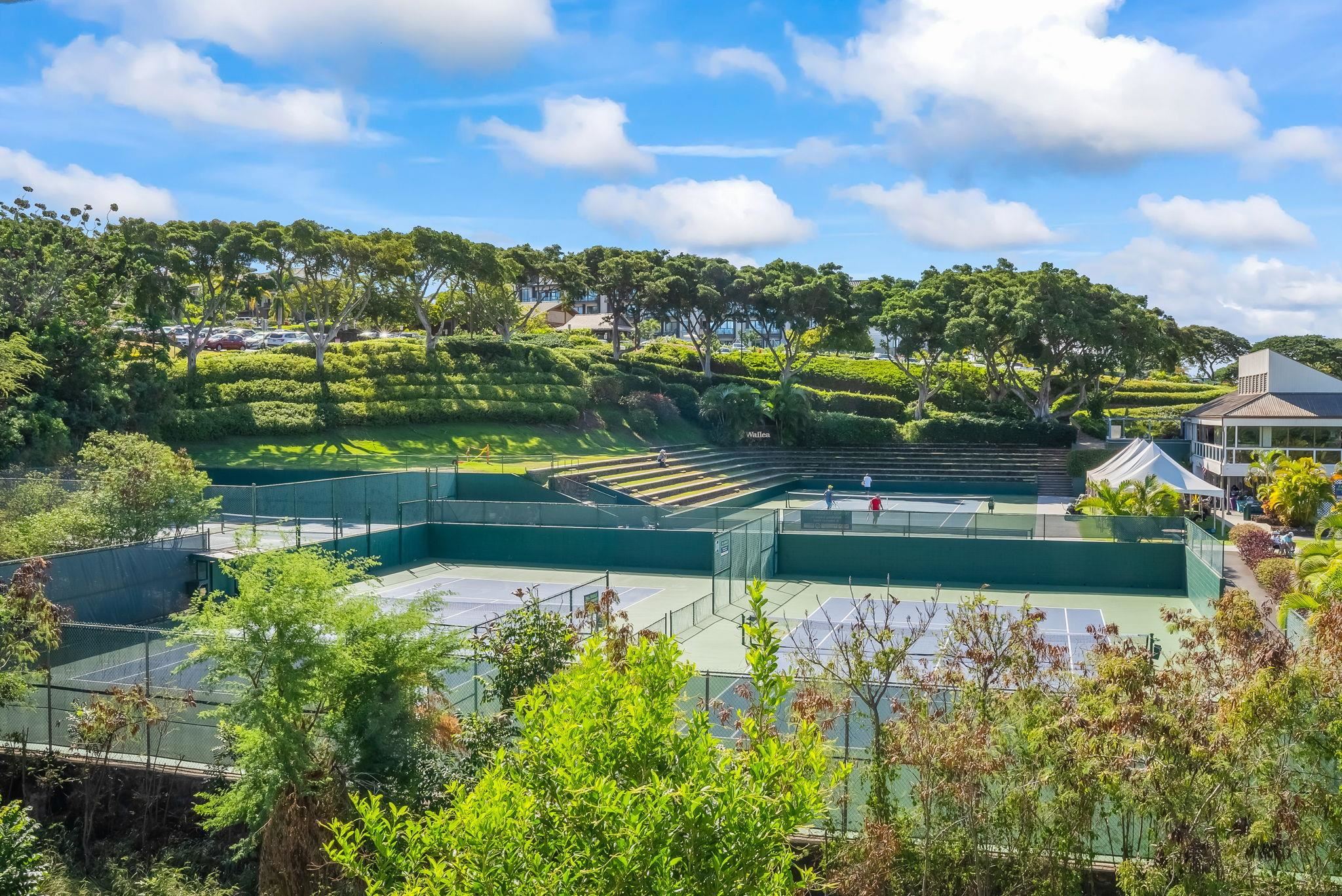 Grand Champions condo # 34, Kihei, Hawaii - photo 43 of 44