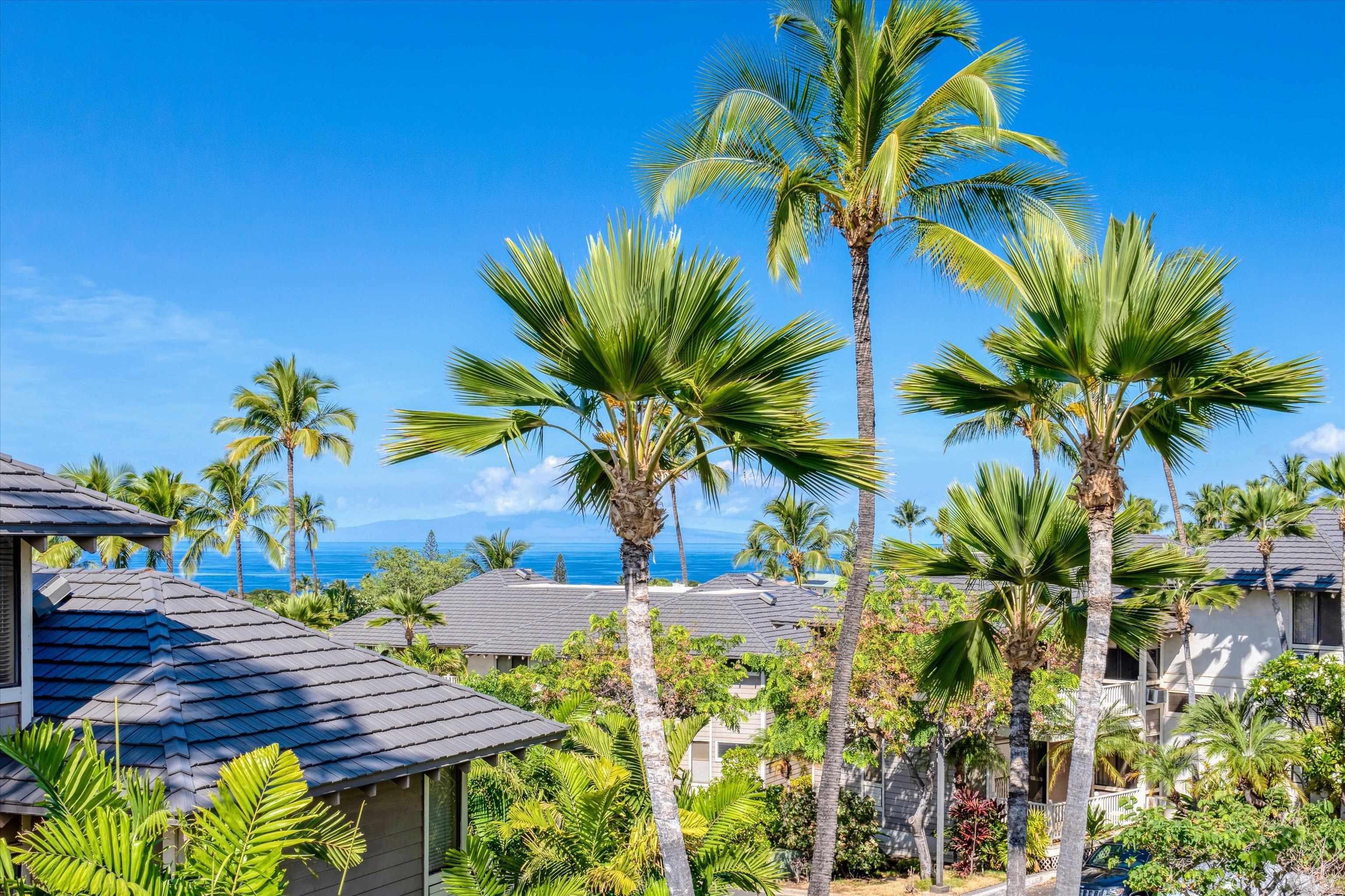 Grand Champions condo # 40, Kihei, Hawaii - photo 31 of 49