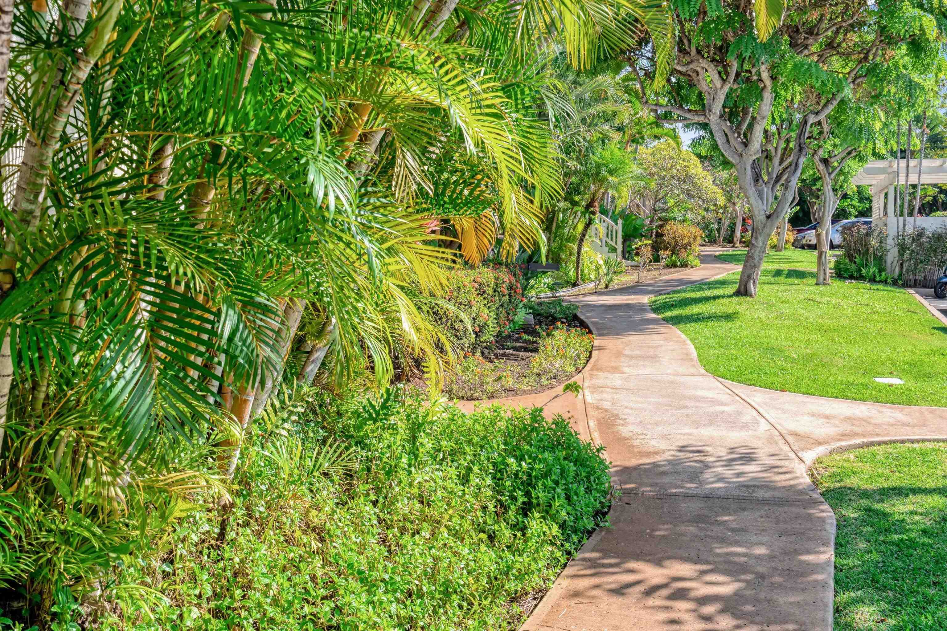 Grand Champions condo # 40, Kihei, Hawaii - photo 36 of 49