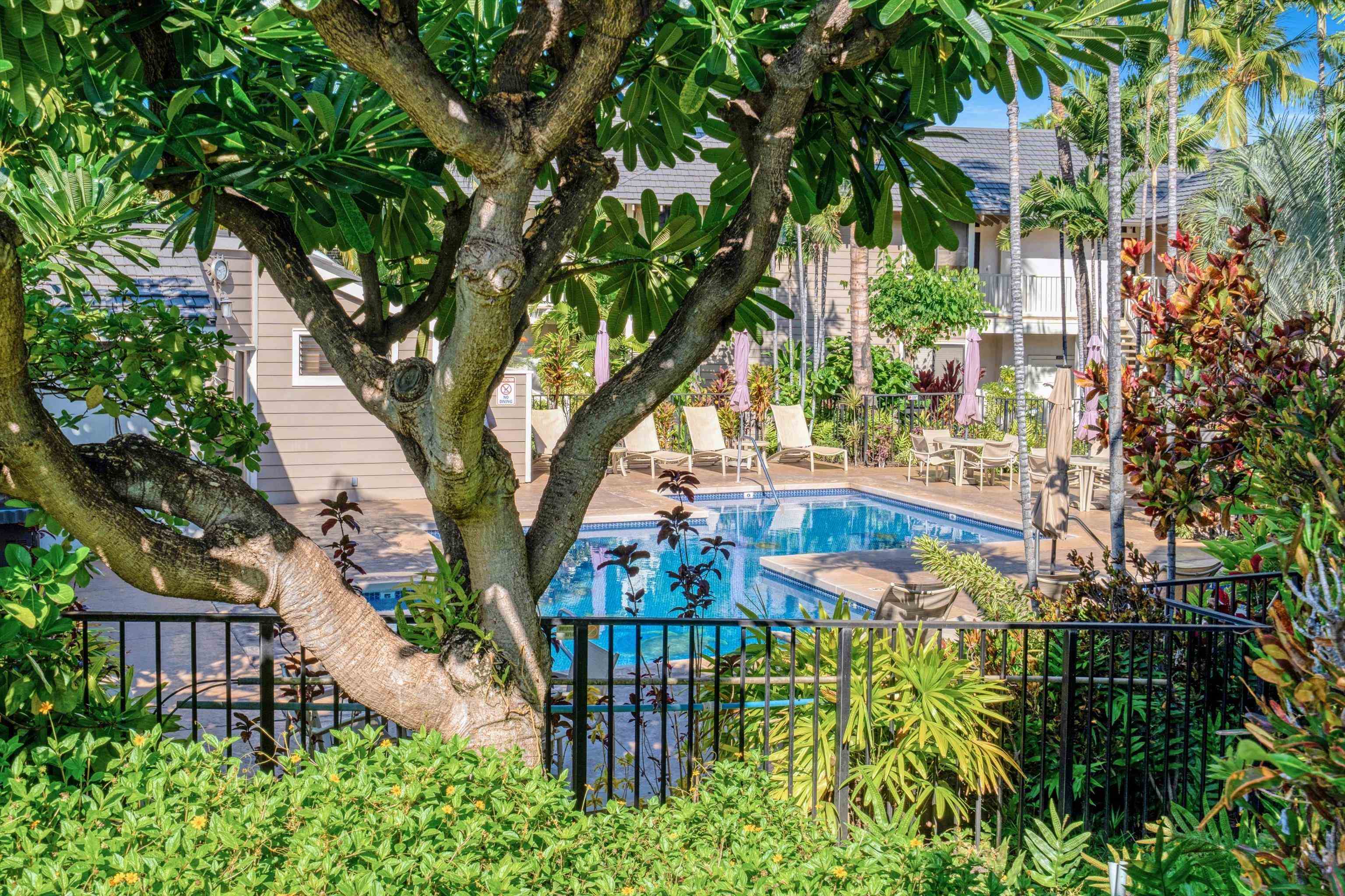 Grand Champions condo # 40, Kihei, Hawaii - photo 37 of 49