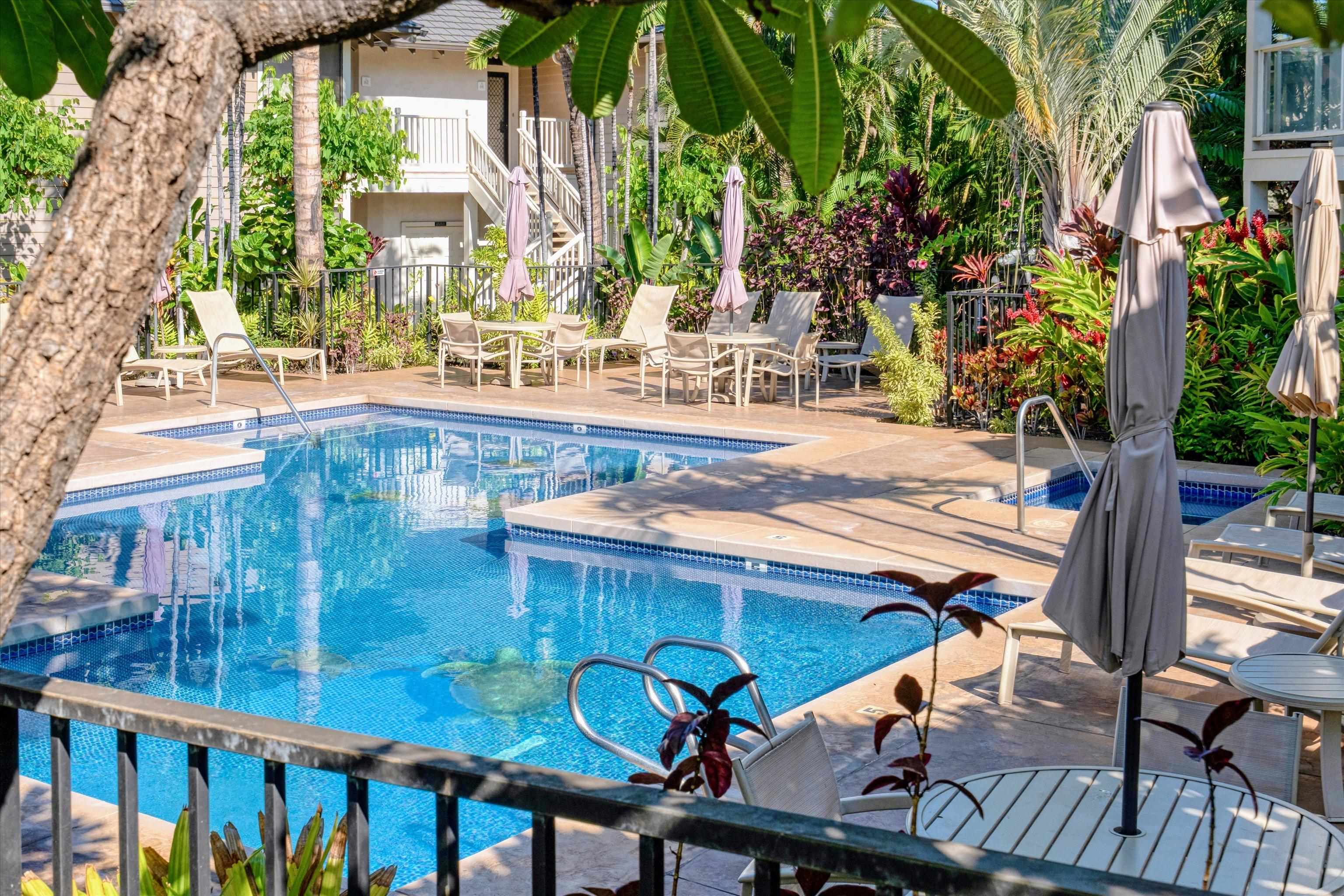 Grand Champions condo # 40, Kihei, Hawaii - photo 38 of 49