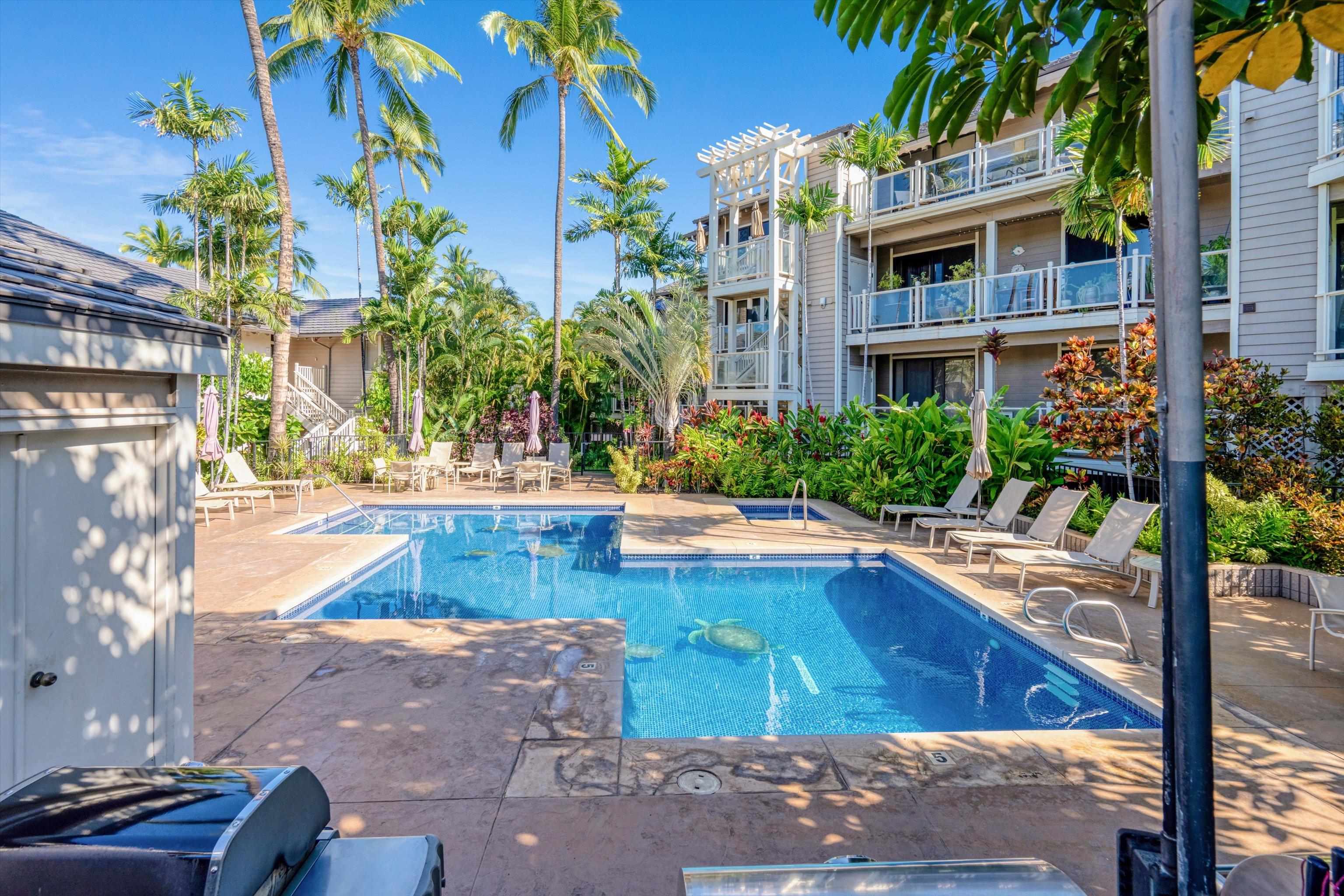 Grand Champions condo # 40, Kihei, Hawaii - photo 39 of 49