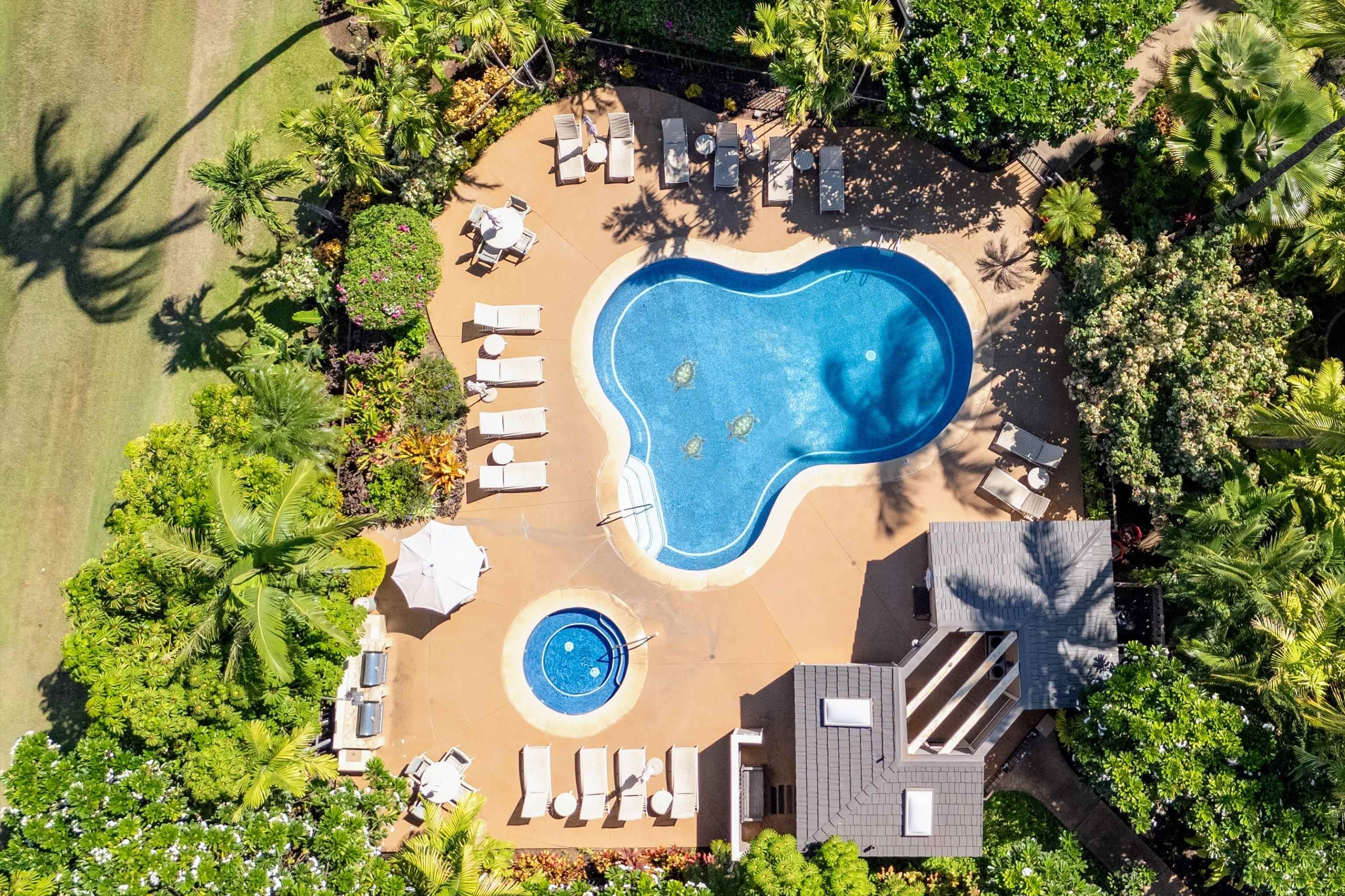 Grand Champions condo # 40, Kihei, Hawaii - photo 41 of 49