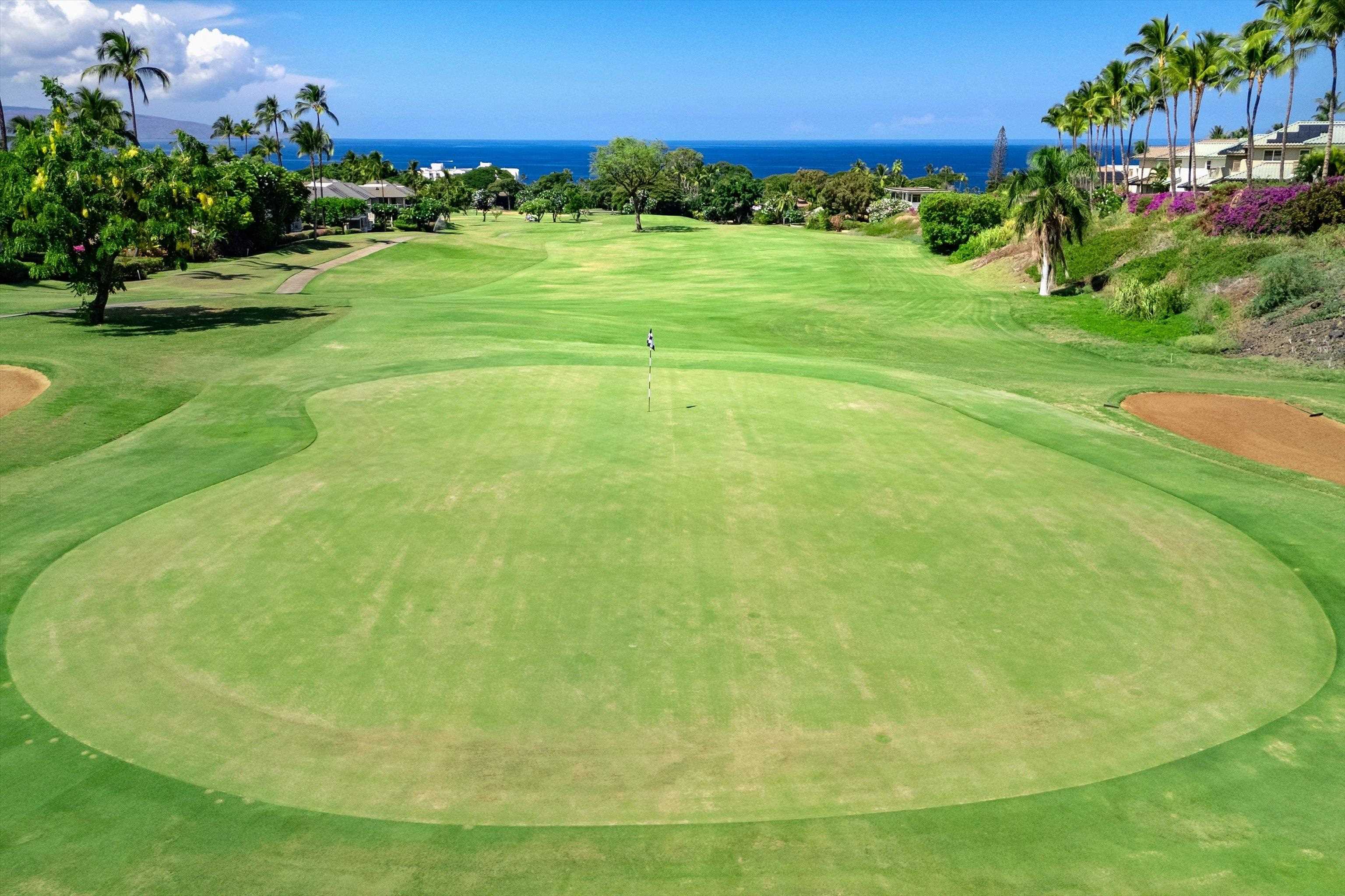 Grand Champions condo # 40, Kihei, Hawaii - photo 48 of 49