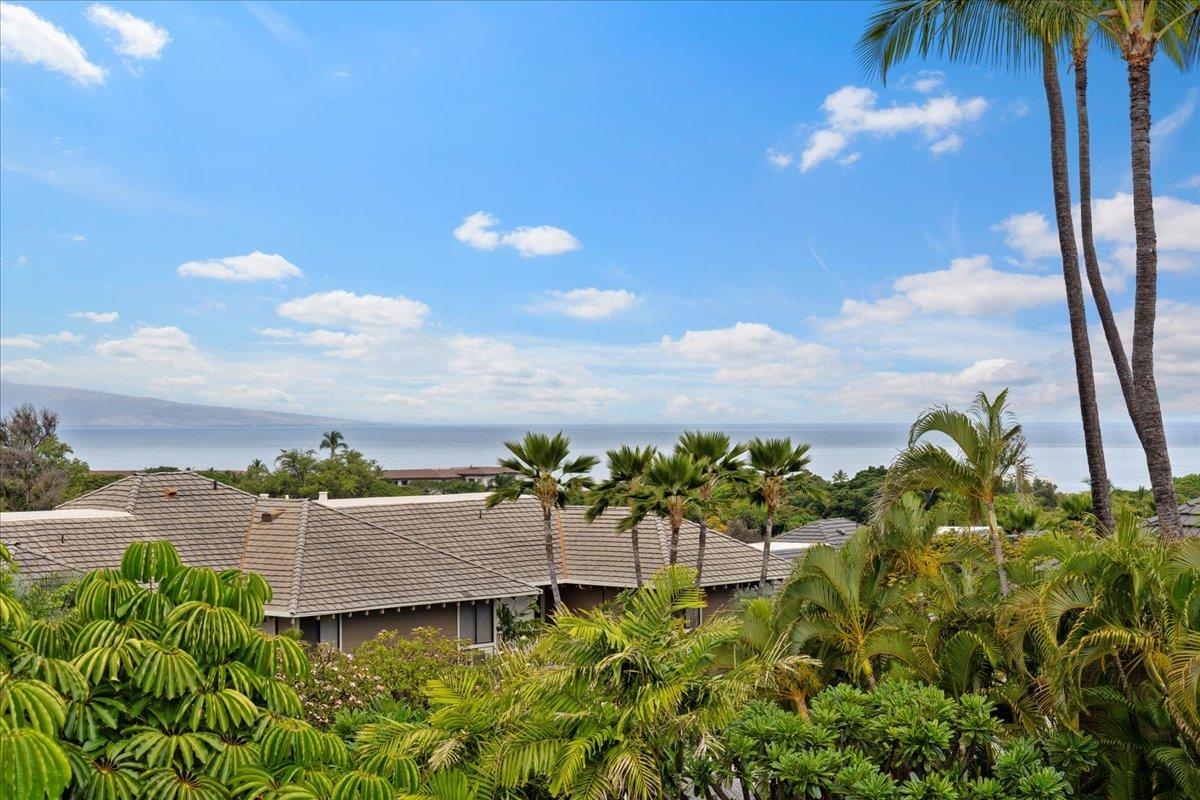 Grand Champions condo # 42, Kihei, Hawaii - photo 45 of 50