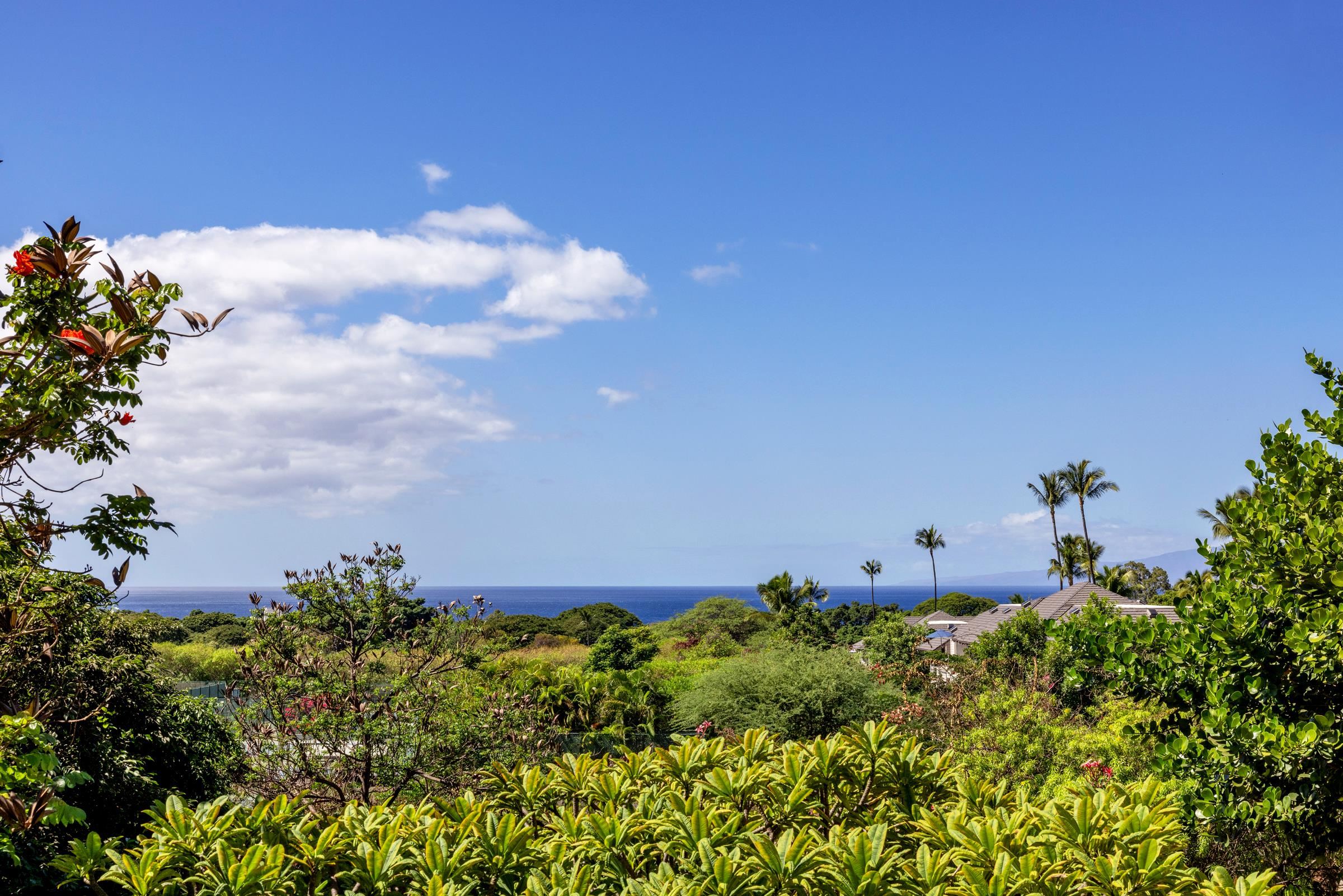 Grand Champions condo # 51, Kihei, Hawaii - photo 2 of 27