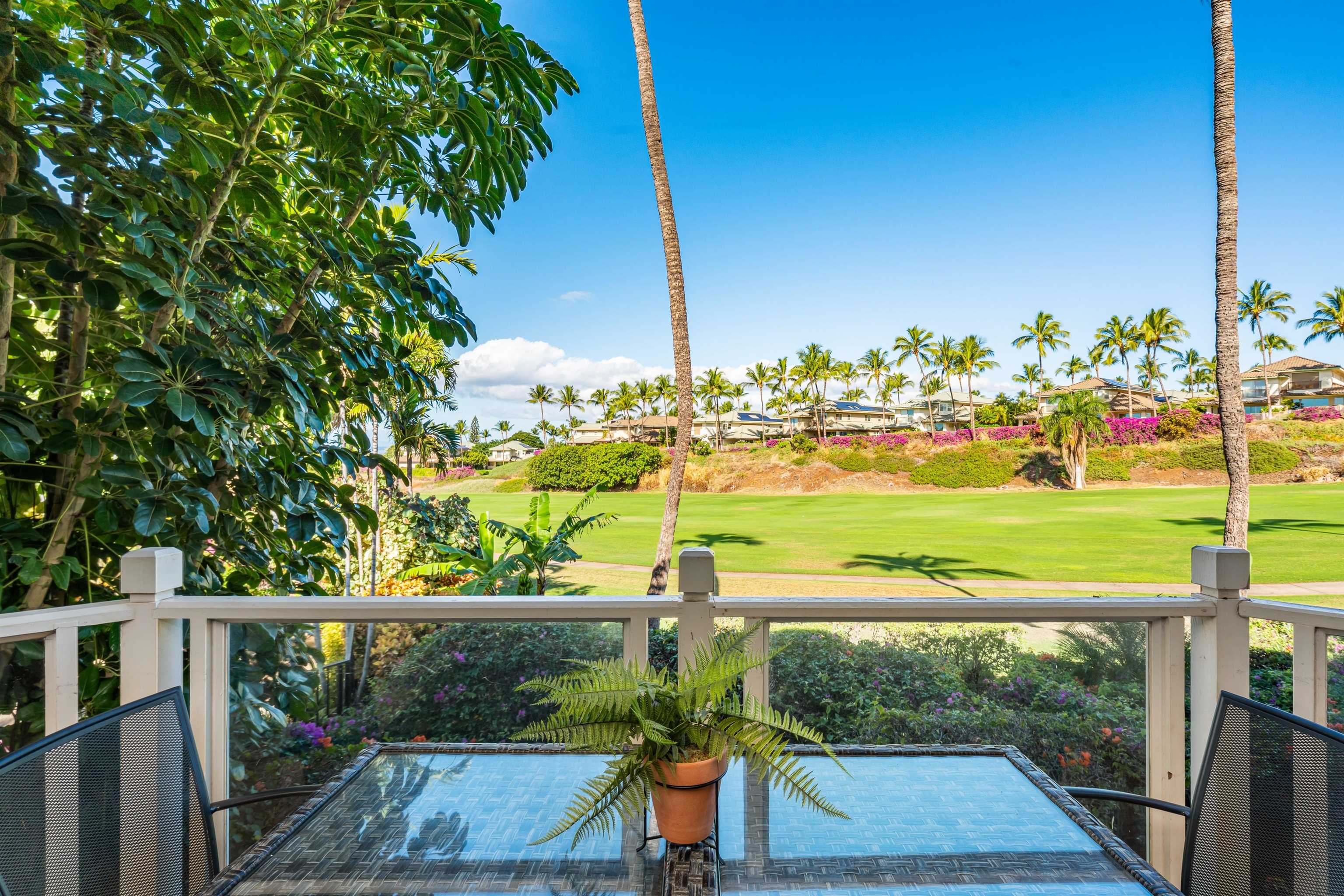 Grand Champions condo # 65, Kihei, Hawaii - photo 9 of 37