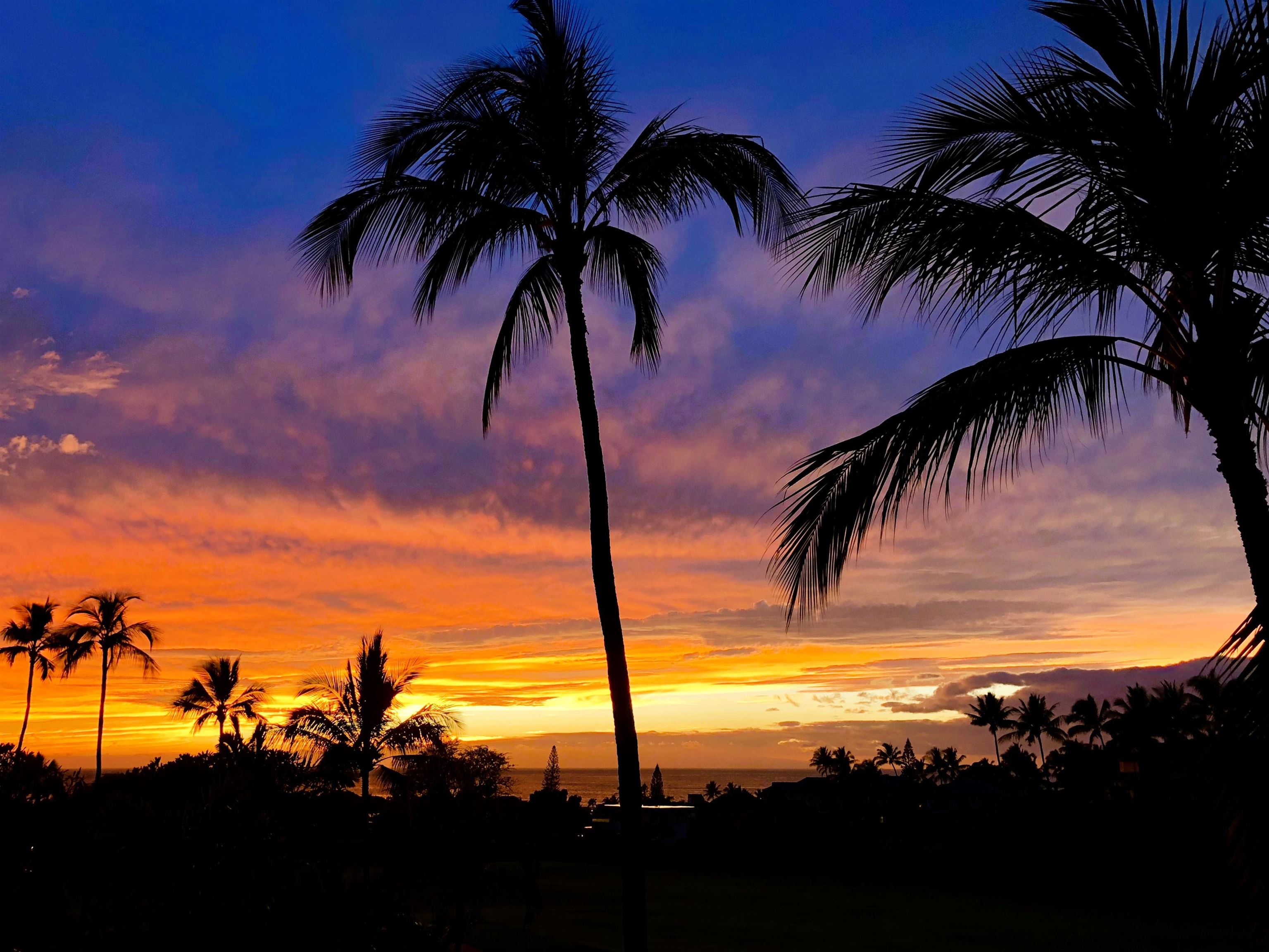 Grand Champions condo # 68, Kihei, Hawaii - photo 12 of 32