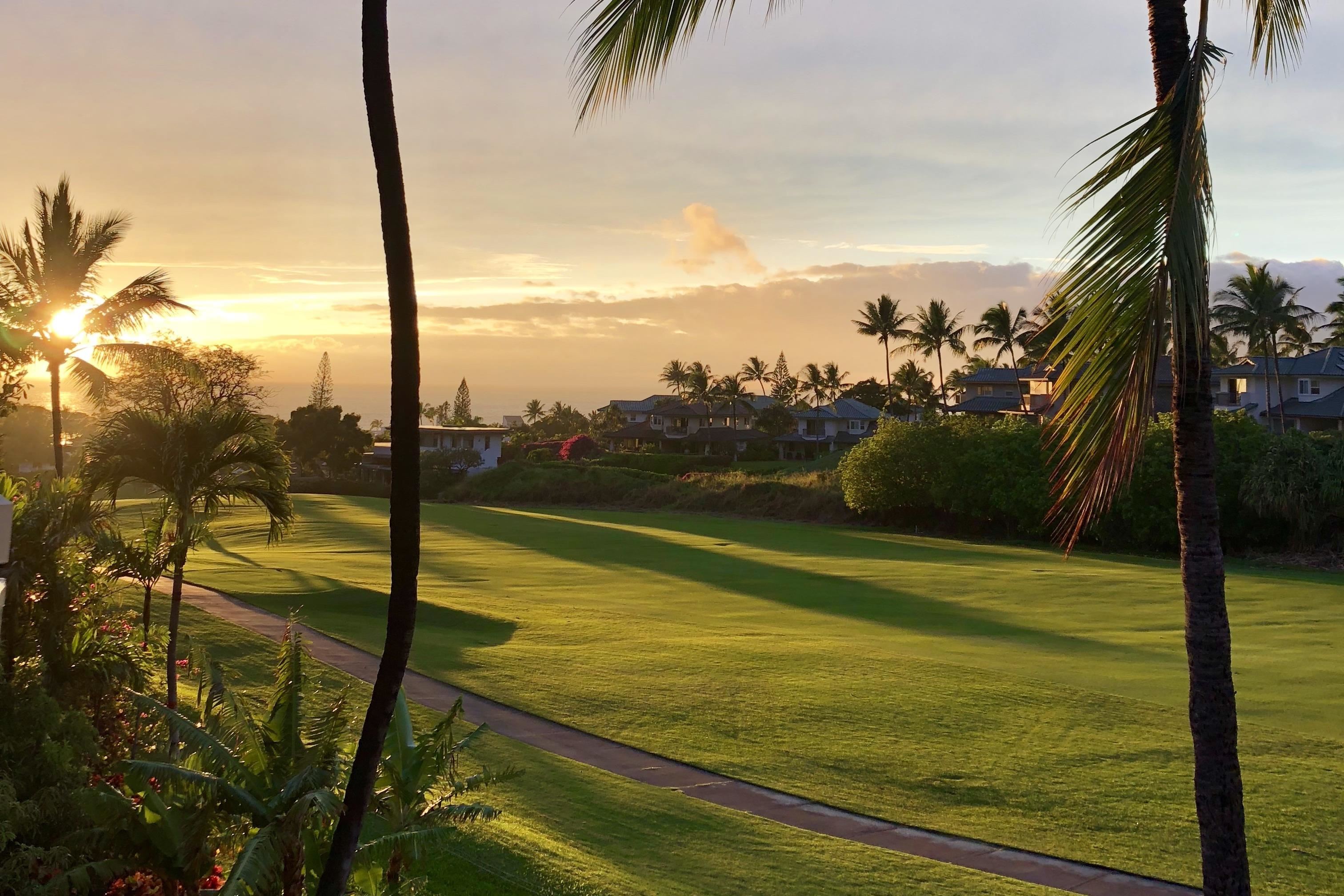Grand Champions condo # 68, Kihei, Hawaii - photo 27 of 32