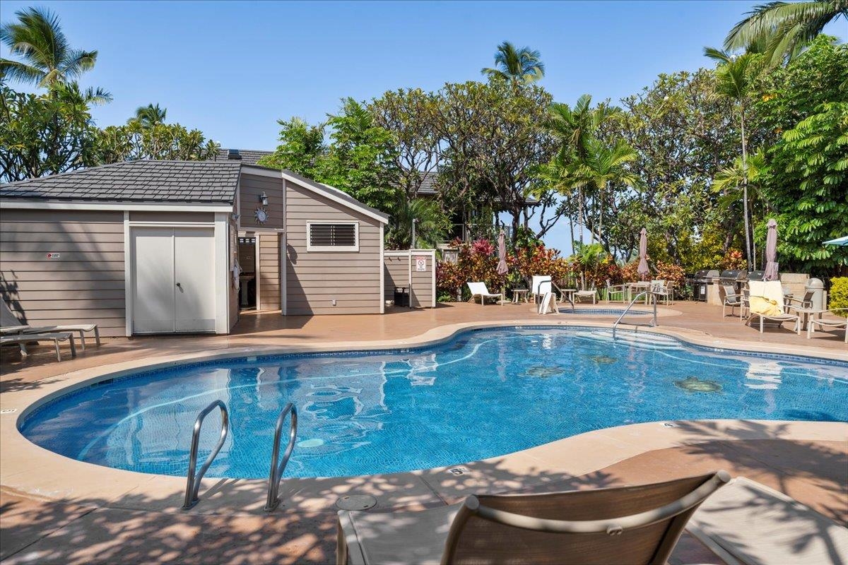 Grand Champions condo # 74, Kihei, Hawaii - photo 23 of 26