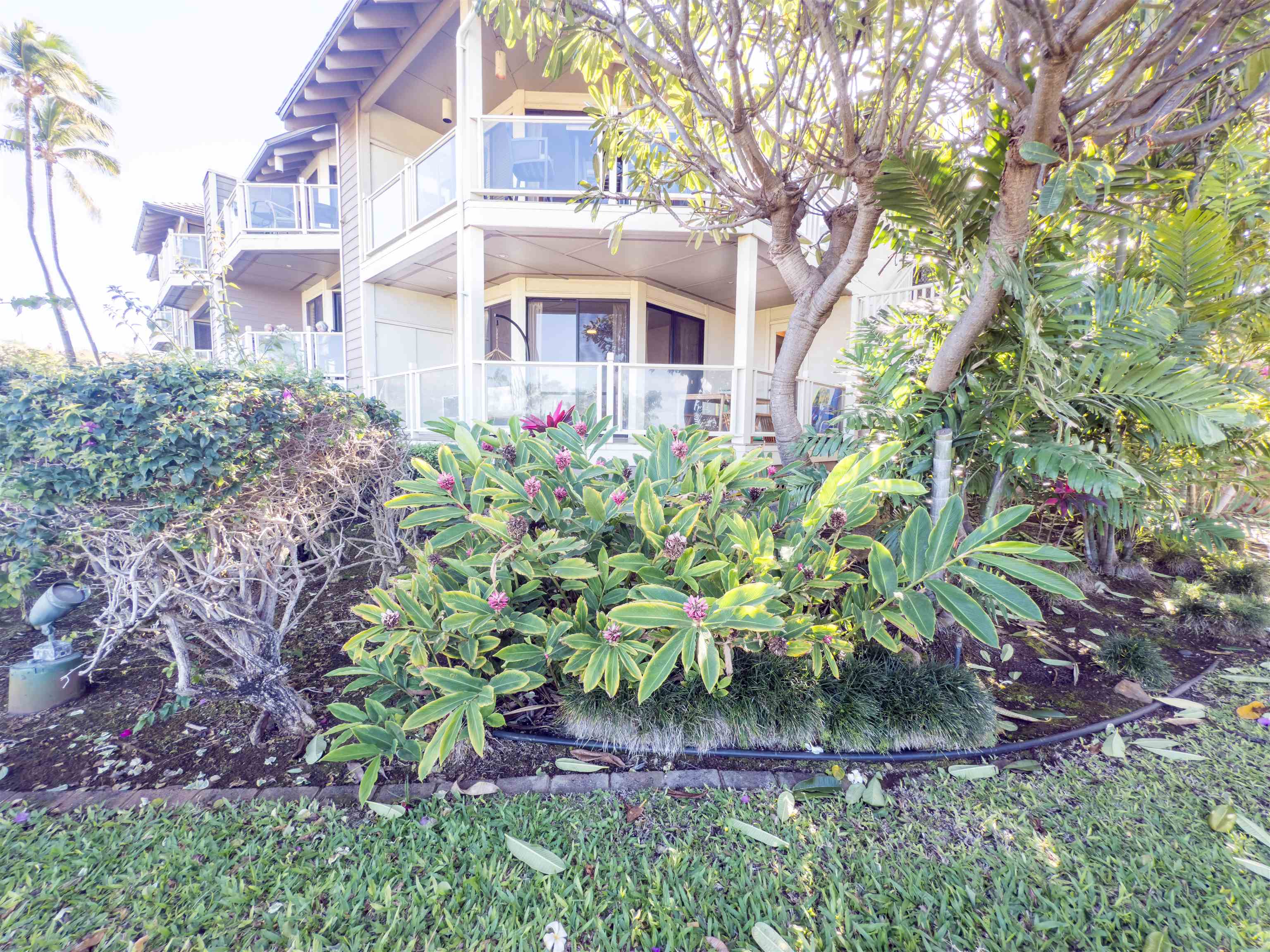 Grand Champions condo # 83, Kihei, Hawaii - photo 27 of 29