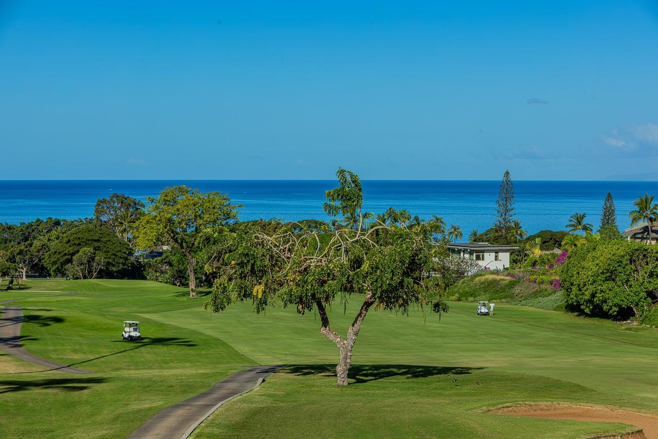 Grand Champions condo # 92, Kihei, Hawaii - photo 2 of 43