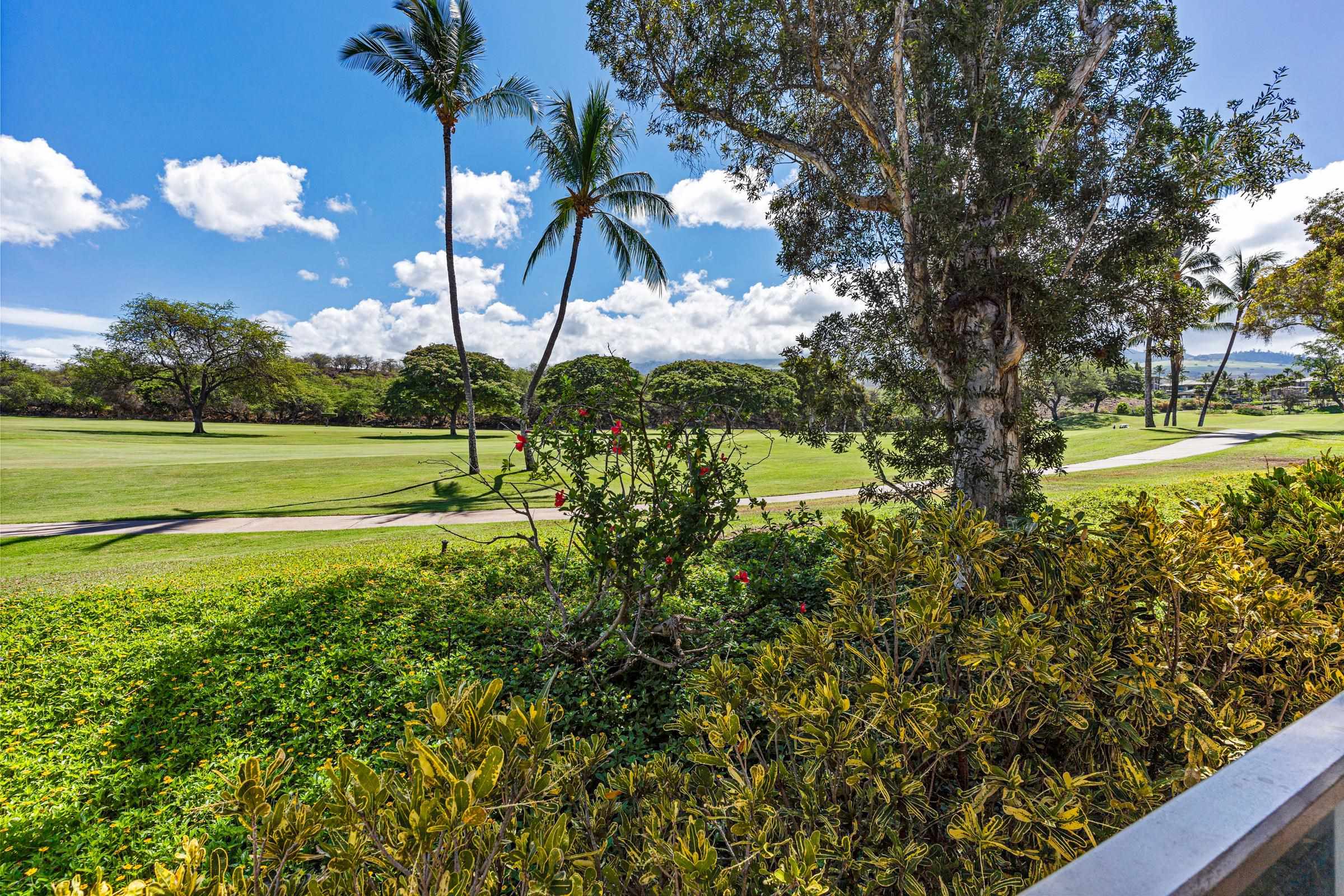 Grand Champions condo # 99, Kihei, Hawaii - photo 9 of 33