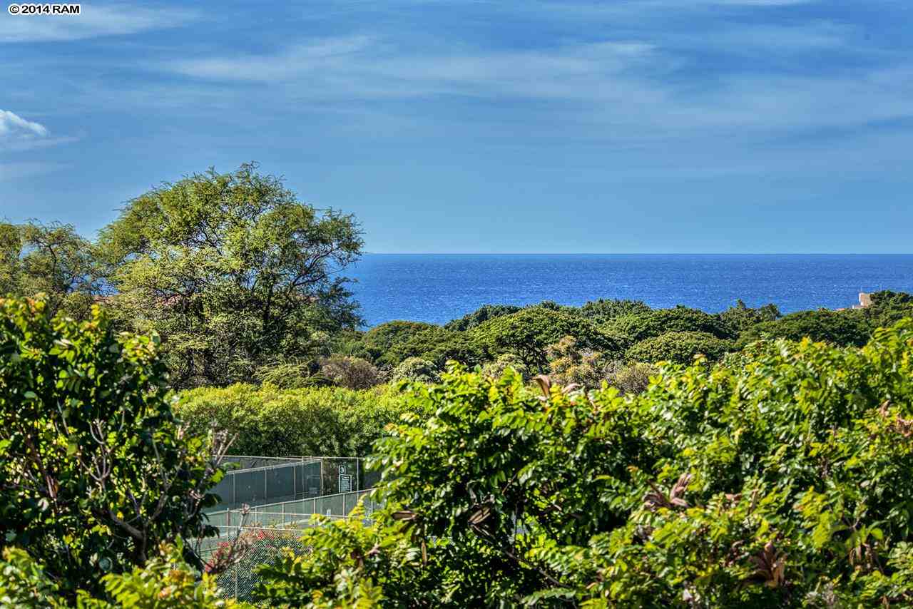 Grand Champions condo # 114, Kihei, Hawaii - photo 20 of 22