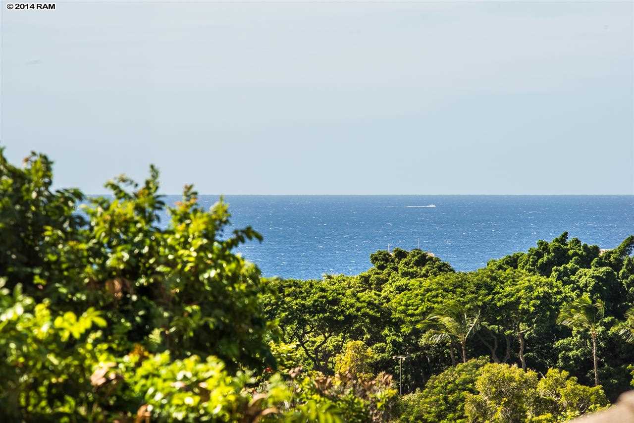 Grand Champions condo # 114, Kihei, Hawaii - photo 3 of 22