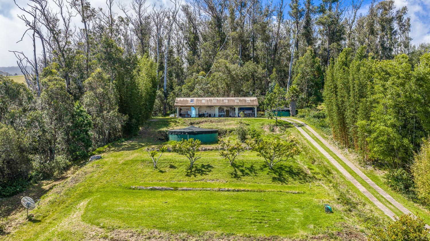 156  Alaluana Rd , Makawao/Olinda/Haliimaile home - photo 33 of 46