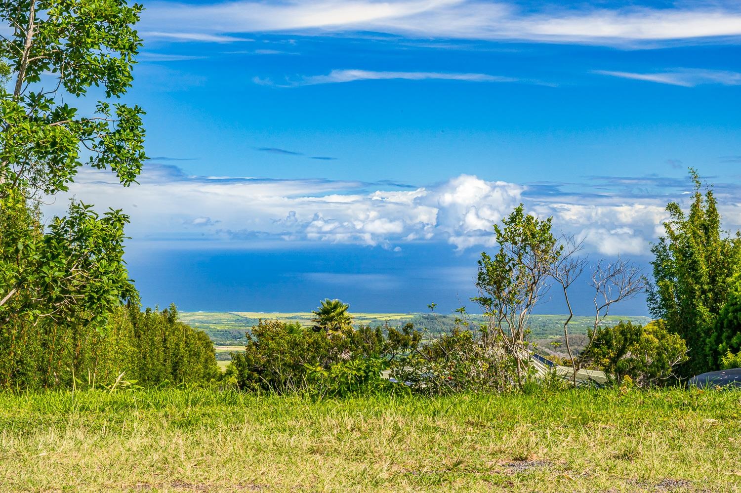 156  Alaluana Rd , Makawao/Olinda/Haliimaile home - photo 42 of 46