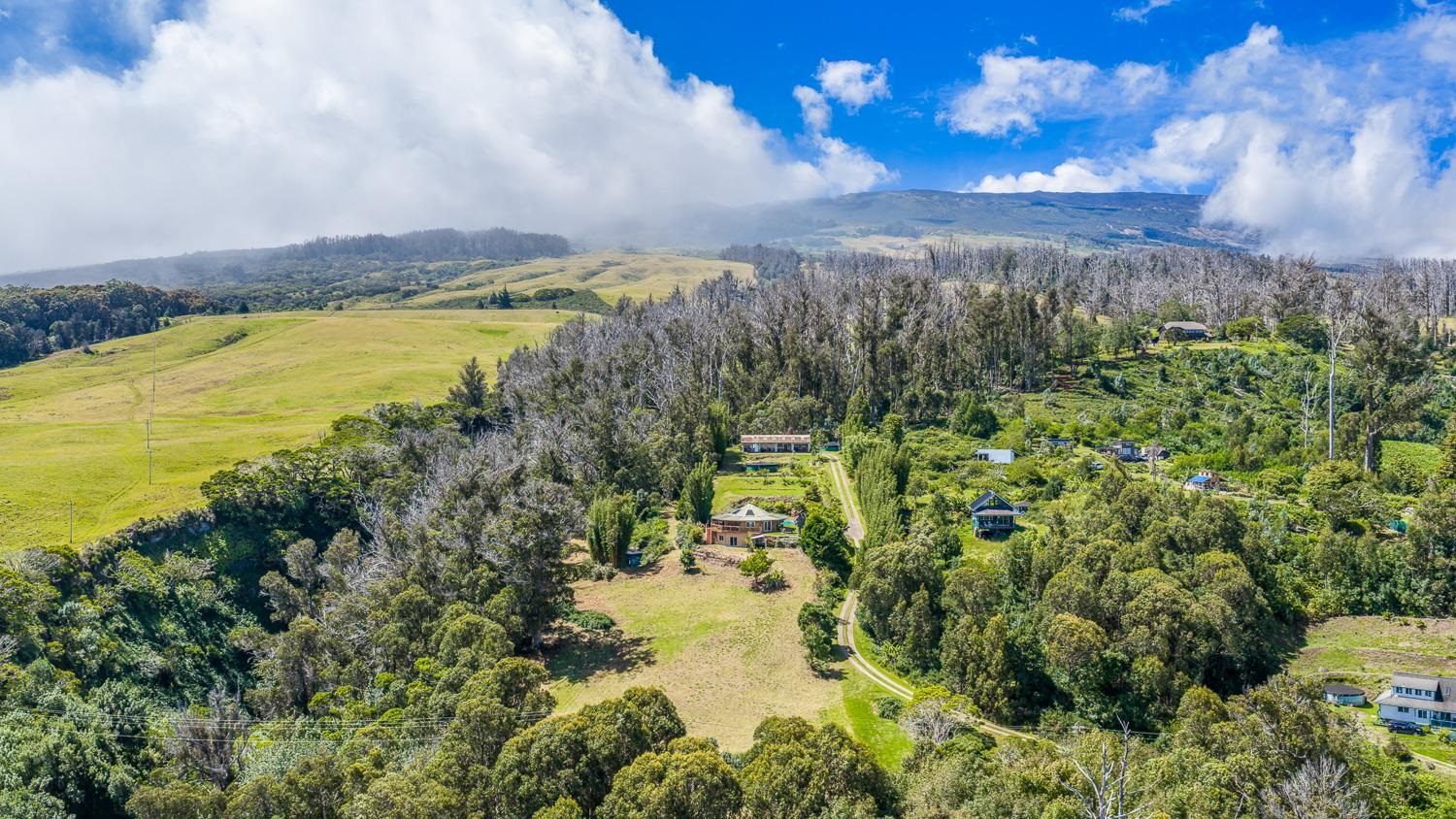 156  Alaluana Rd , Makawao/Olinda/Haliimaile home - photo 45 of 46