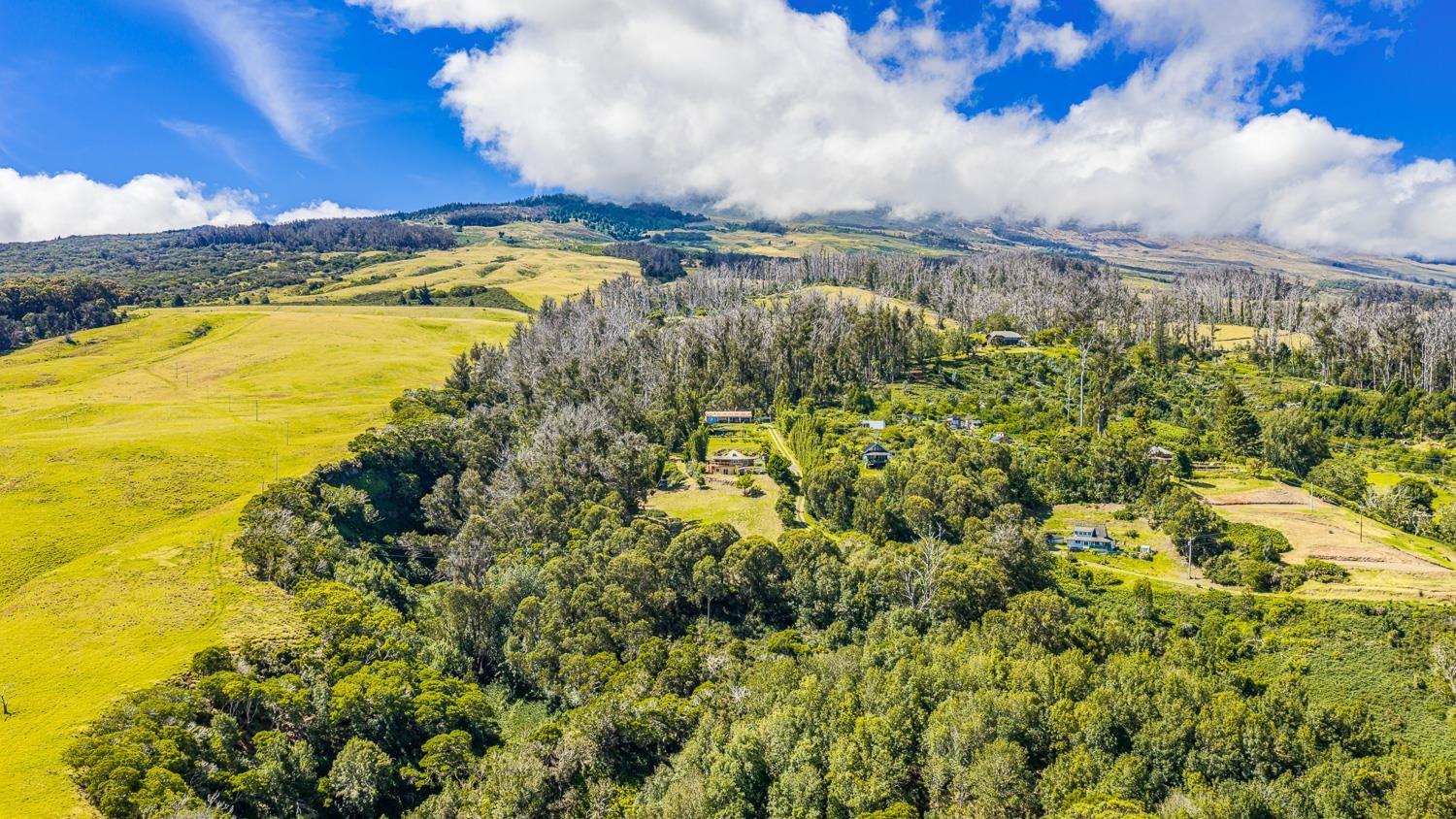 156  Alaluana Rd , Makawao/Olinda/Haliimaile home - photo 46 of 46