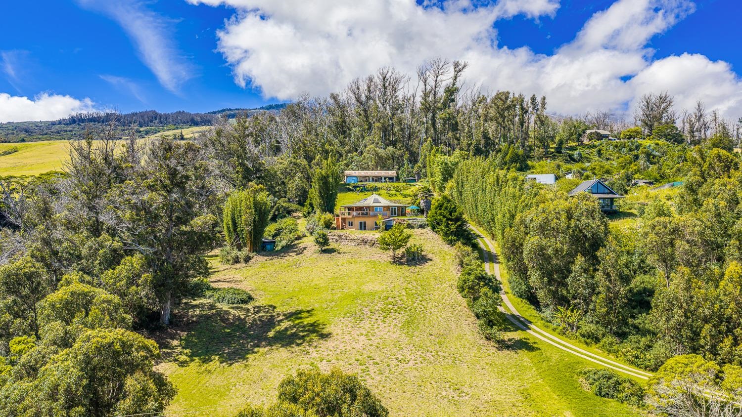 156  Alaluana Rd , Makawao/Olinda/Haliimaile home - photo 46 of 46
