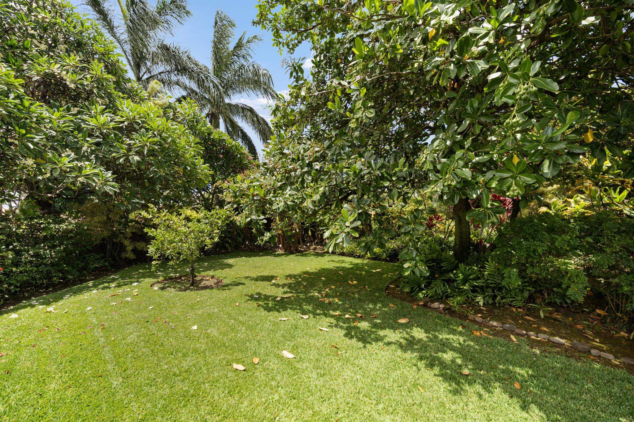 156  Central Ave Wailuku Town, Wailuku home - photo 33 of 42