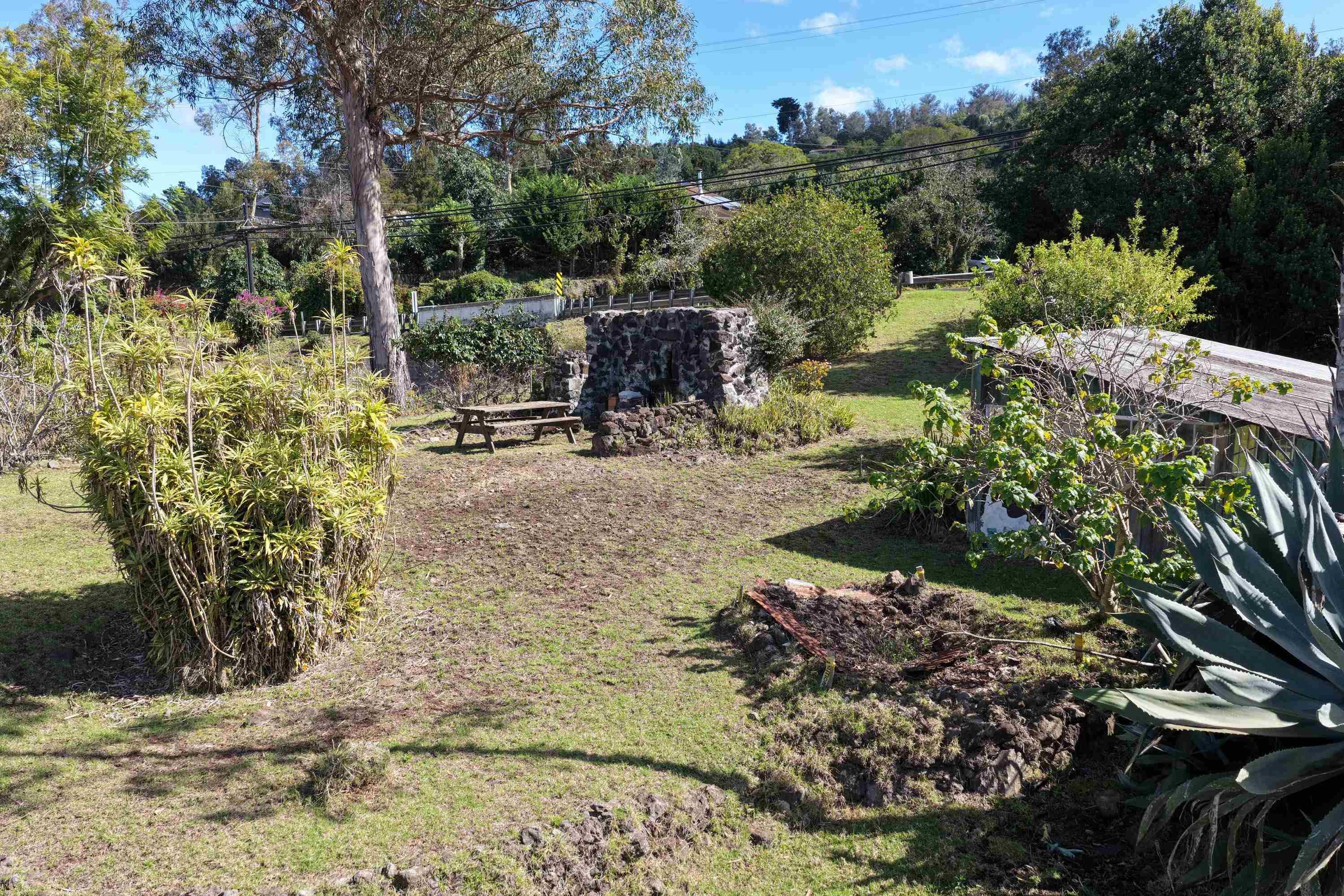 1575  Kamehameiki Rd Upper Kula, Kula/Ulupalakua/Kanaio home - photo 11 of 37