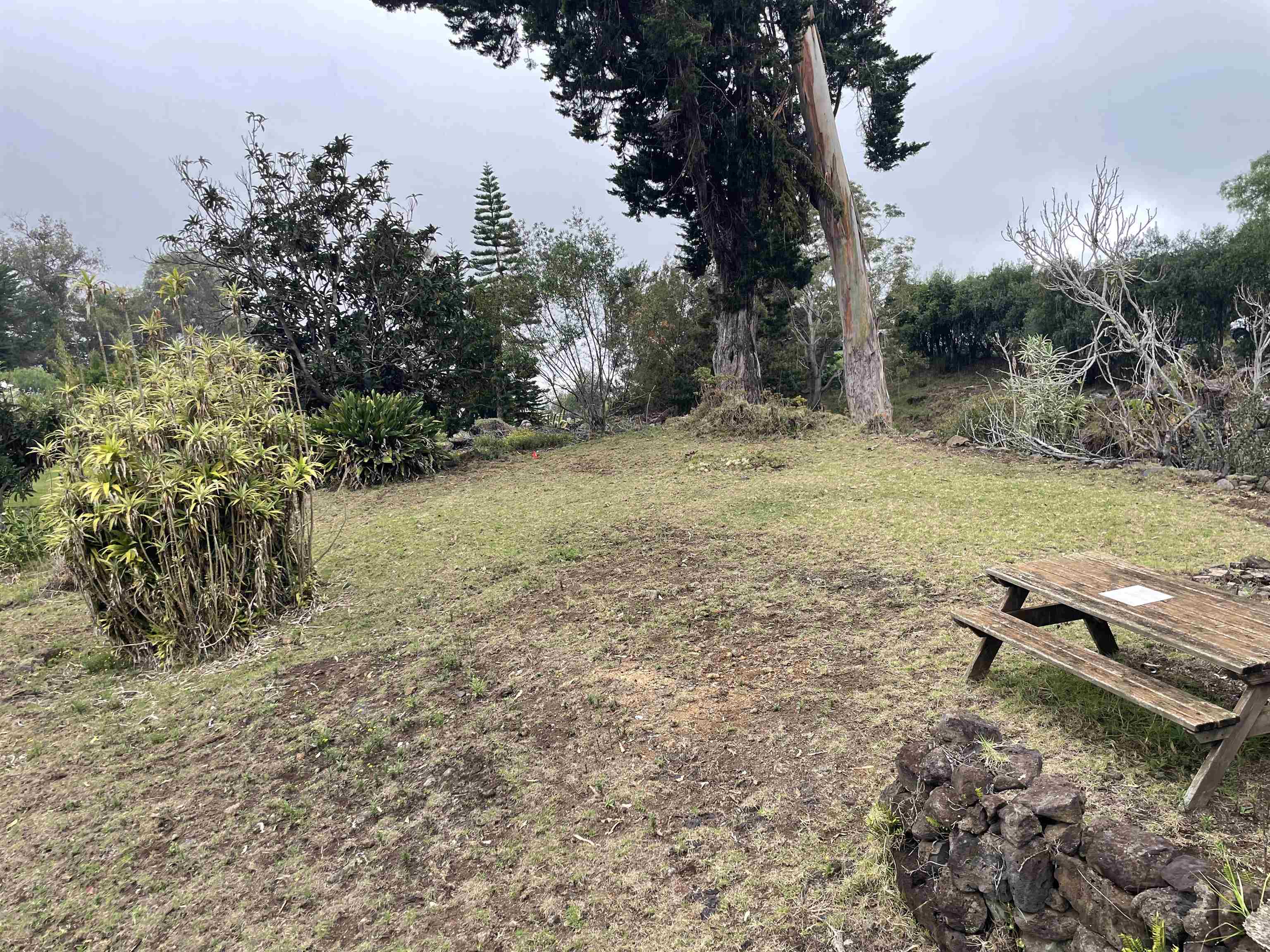 1575  Kamehameiki Rd Upper Kula, Kula/Ulupalakua/Kanaio home - photo 16 of 37