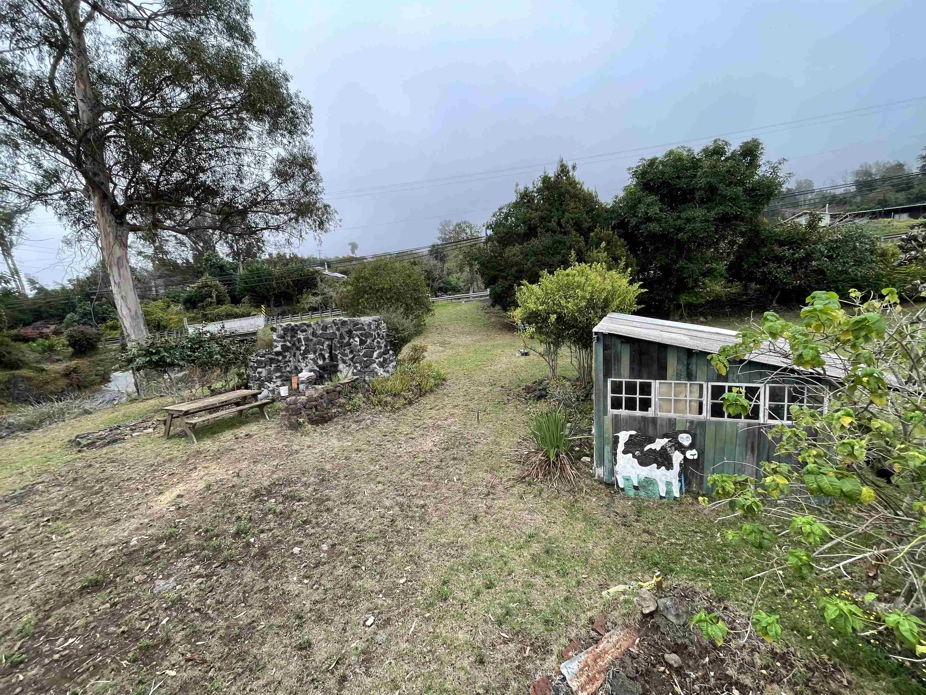 1575  Kamehameiki Rd Upper Kula, Kula/Ulupalakua/Kanaio home - photo 21 of 37