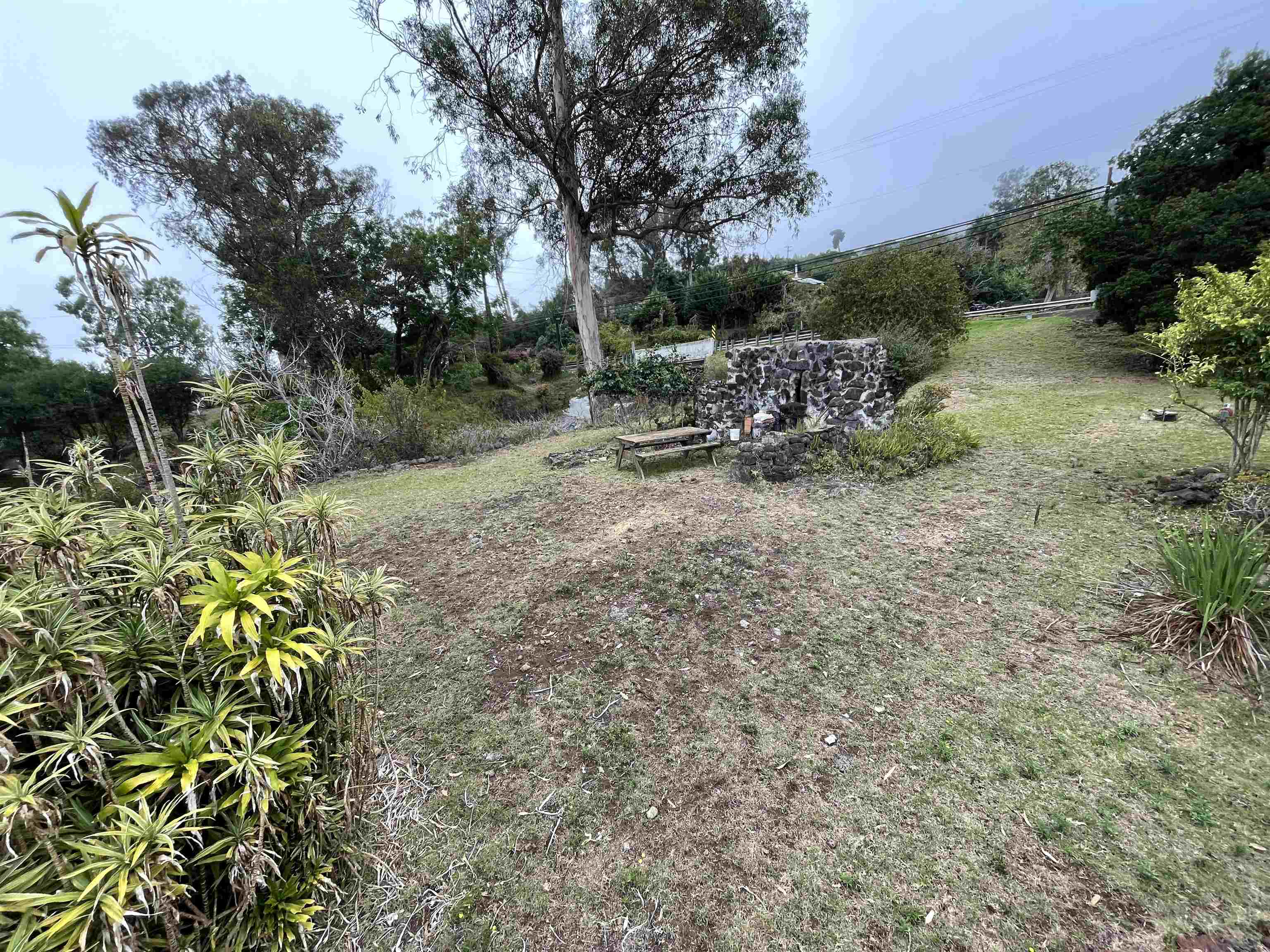 1575  Kamehameiki Rd Upper Kula, Kula/Ulupalakua/Kanaio home - photo 26 of 37