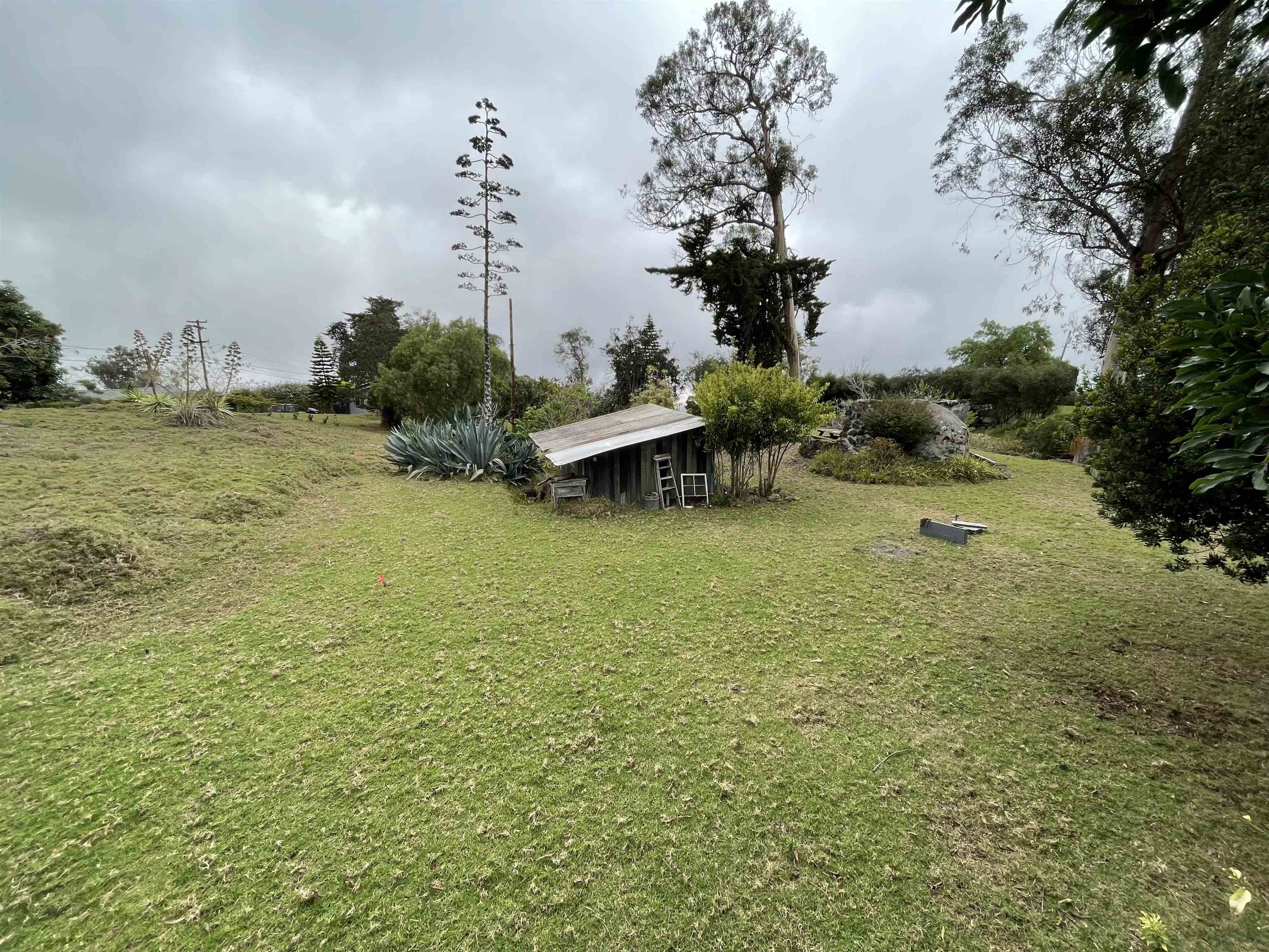 1575  Kamehameiki Rd Upper Kula, Kula/Ulupalakua/Kanaio home - photo 27 of 37