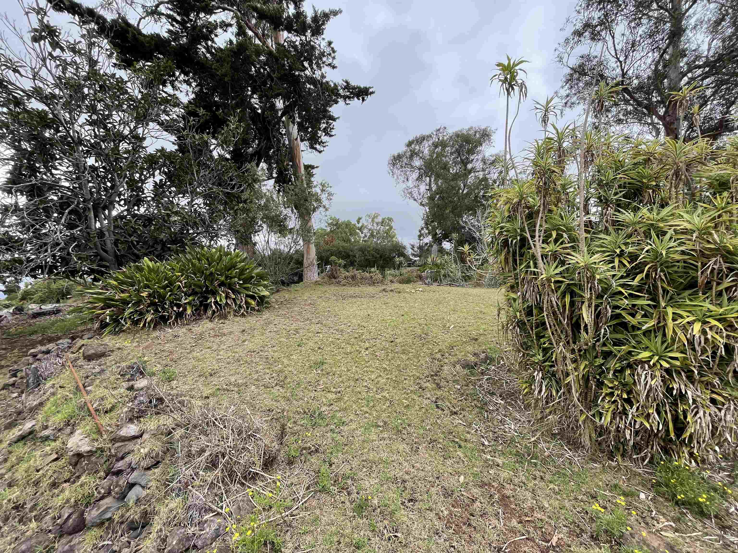 1575  Kamehameiki Rd Upper Kula, Kula/Ulupalakua/Kanaio home - photo 30 of 37