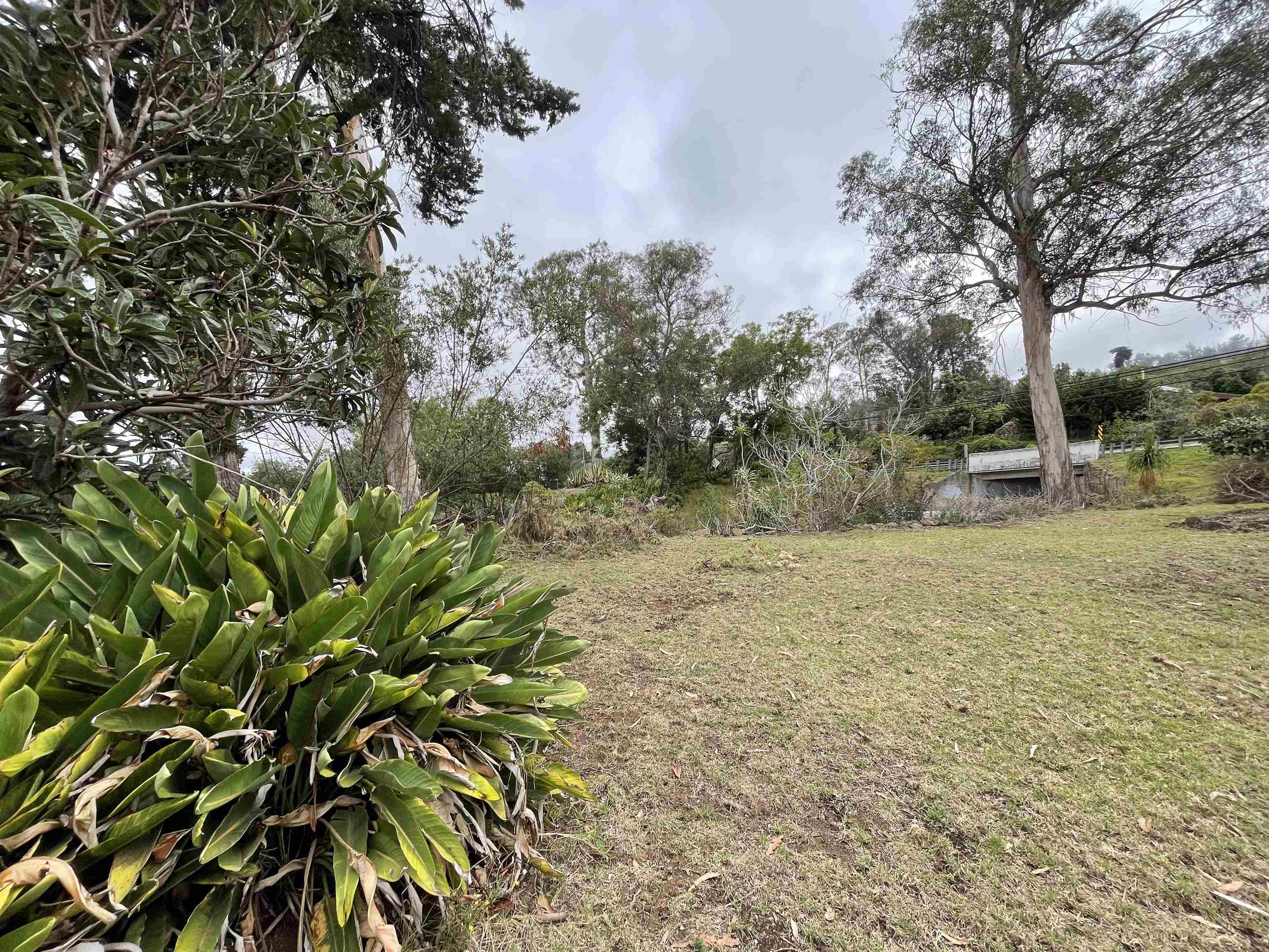 1575  Kamehameiki Rd Upper Kula, Kula/Ulupalakua/Kanaio home - photo 34 of 37