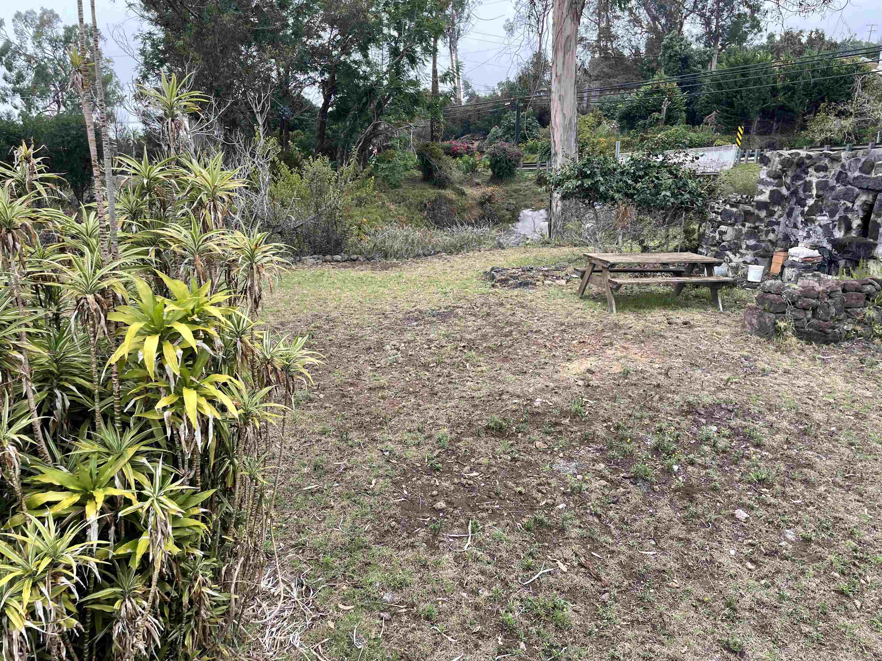 1575  Kamehameiki Rd Upper Kula, Kula/Ulupalakua/Kanaio home - photo 35 of 37