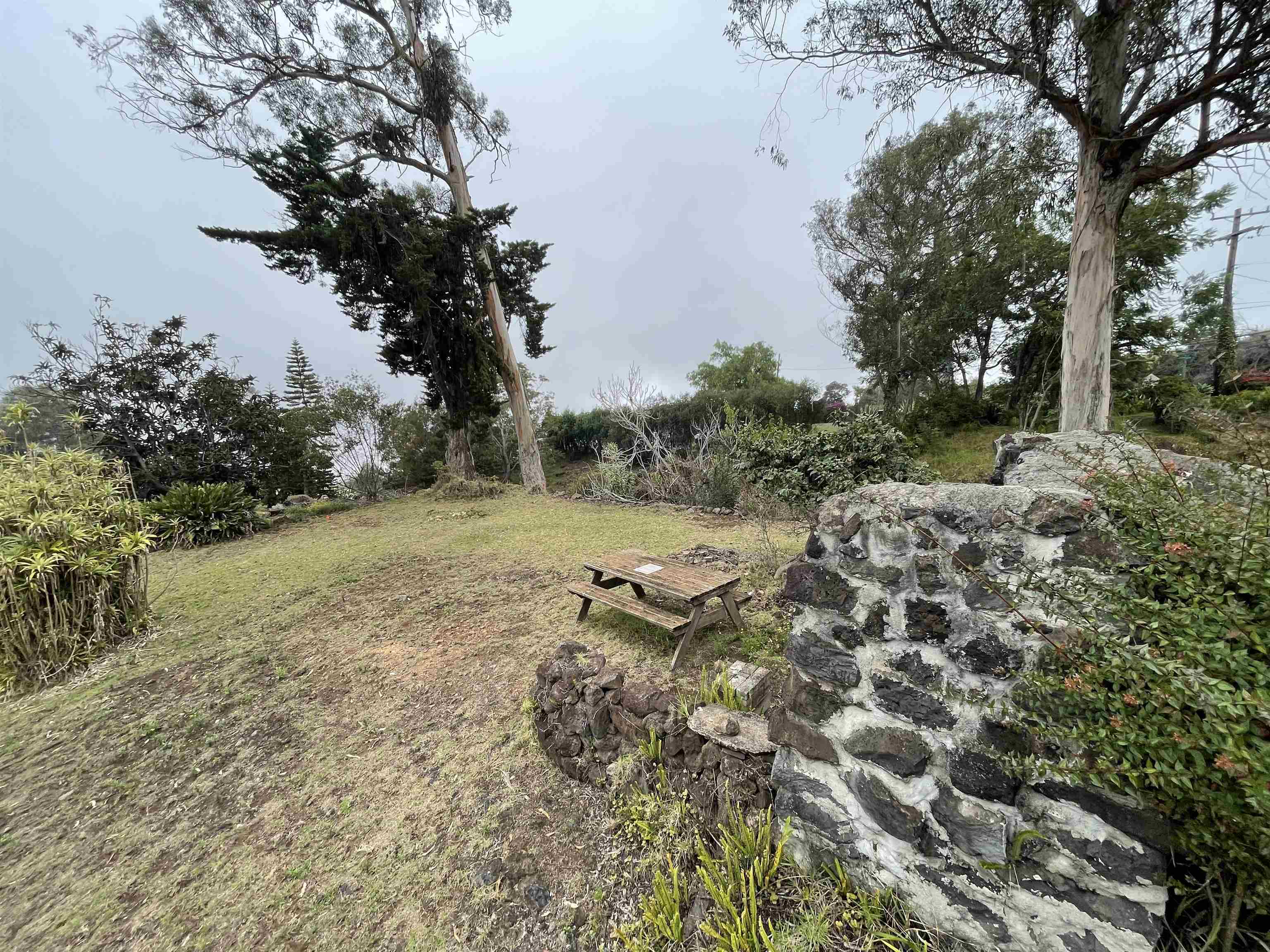 1575  Kamehameiki Rd Upper Kula, Kula/Ulupalakua/Kanaio home - photo 36 of 37