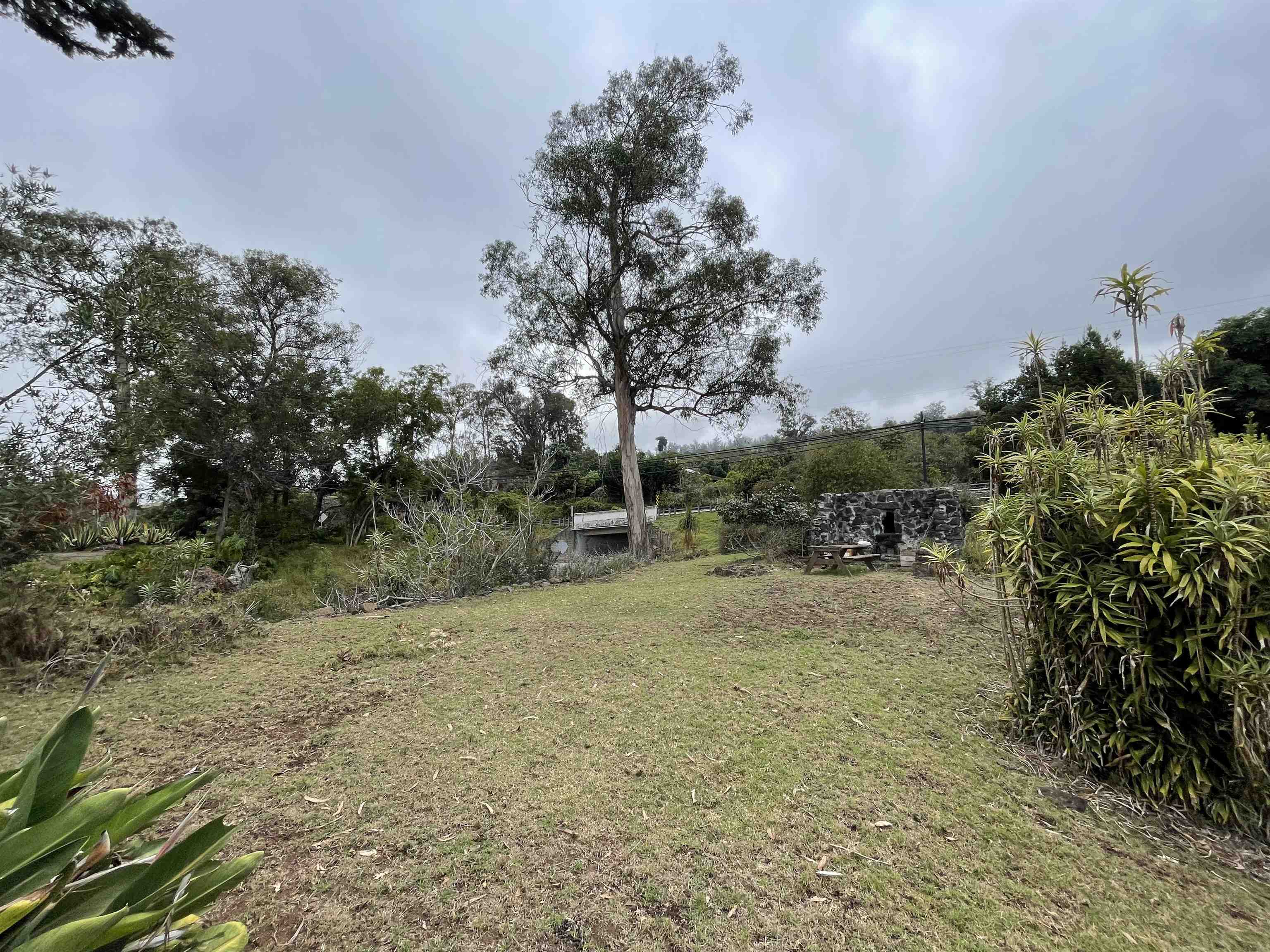 1575  Kamehameiki Rd Upper Kula, Kula/Ulupalakua/Kanaio home - photo 6 of 37