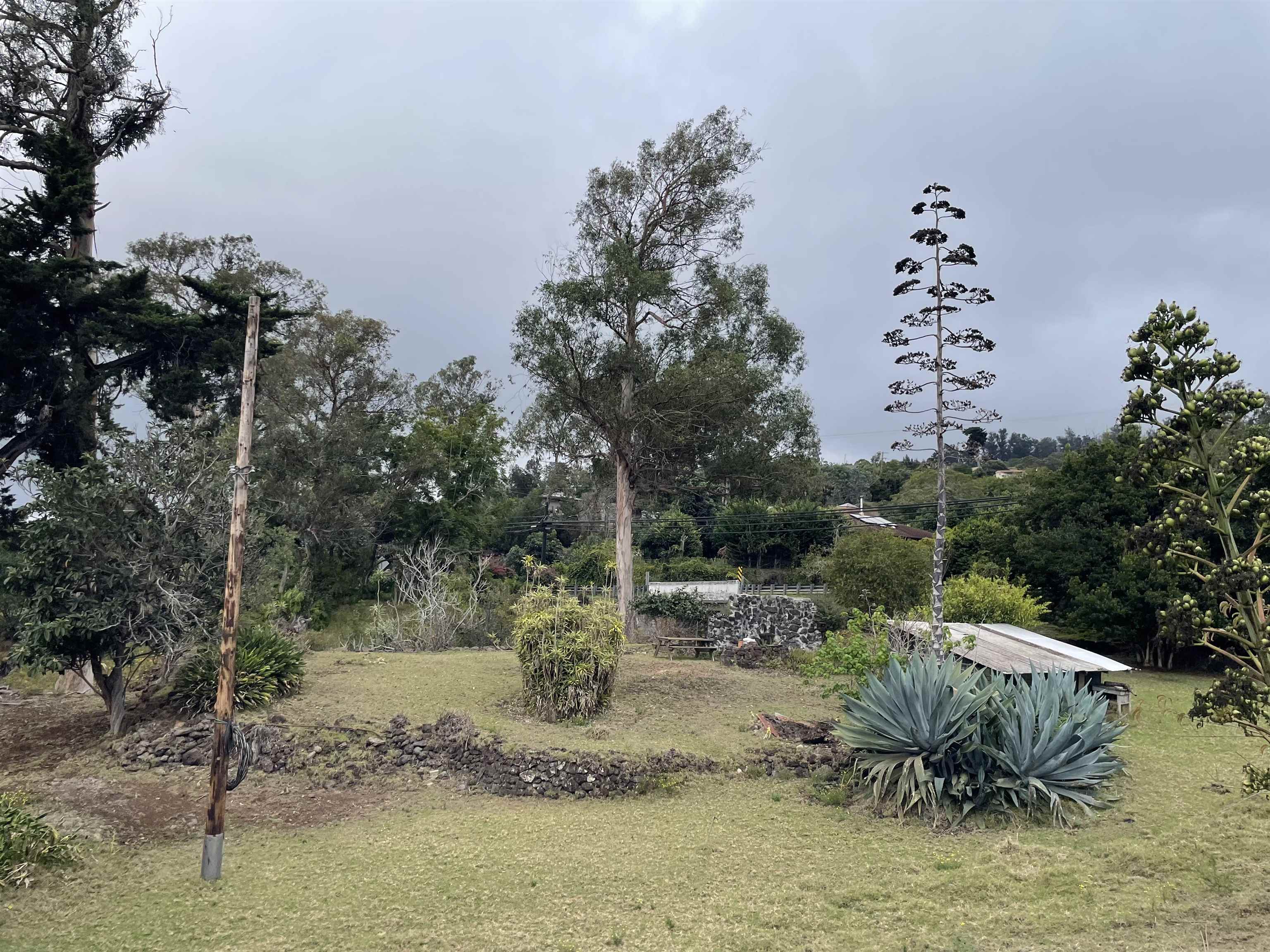 1575  Kamehameiki Rd Upper Kula, Kula/Ulupalakua/Kanaio home - photo 7 of 37