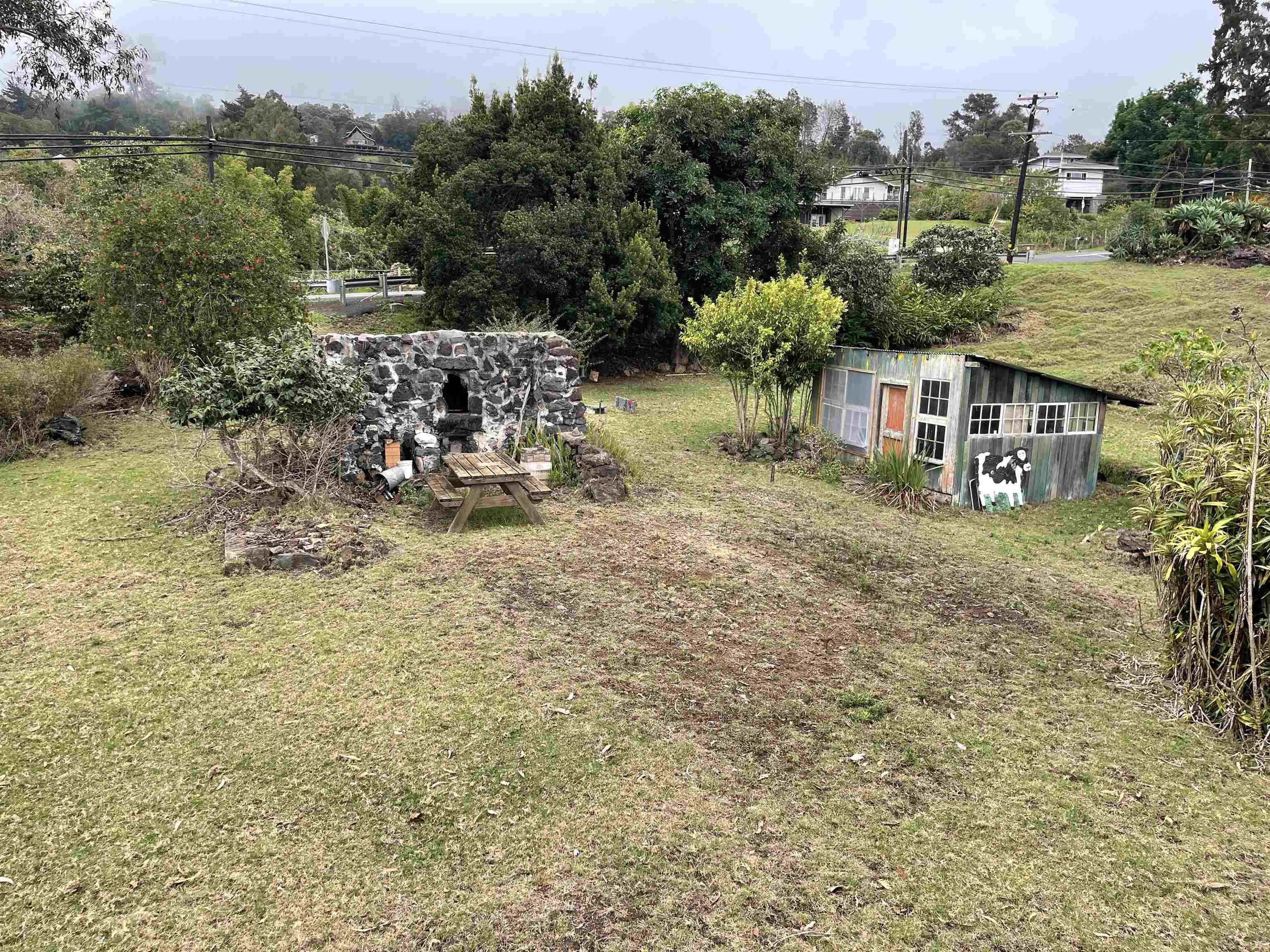 1575 Kamehameiki Rd   - photo 14 of 39
