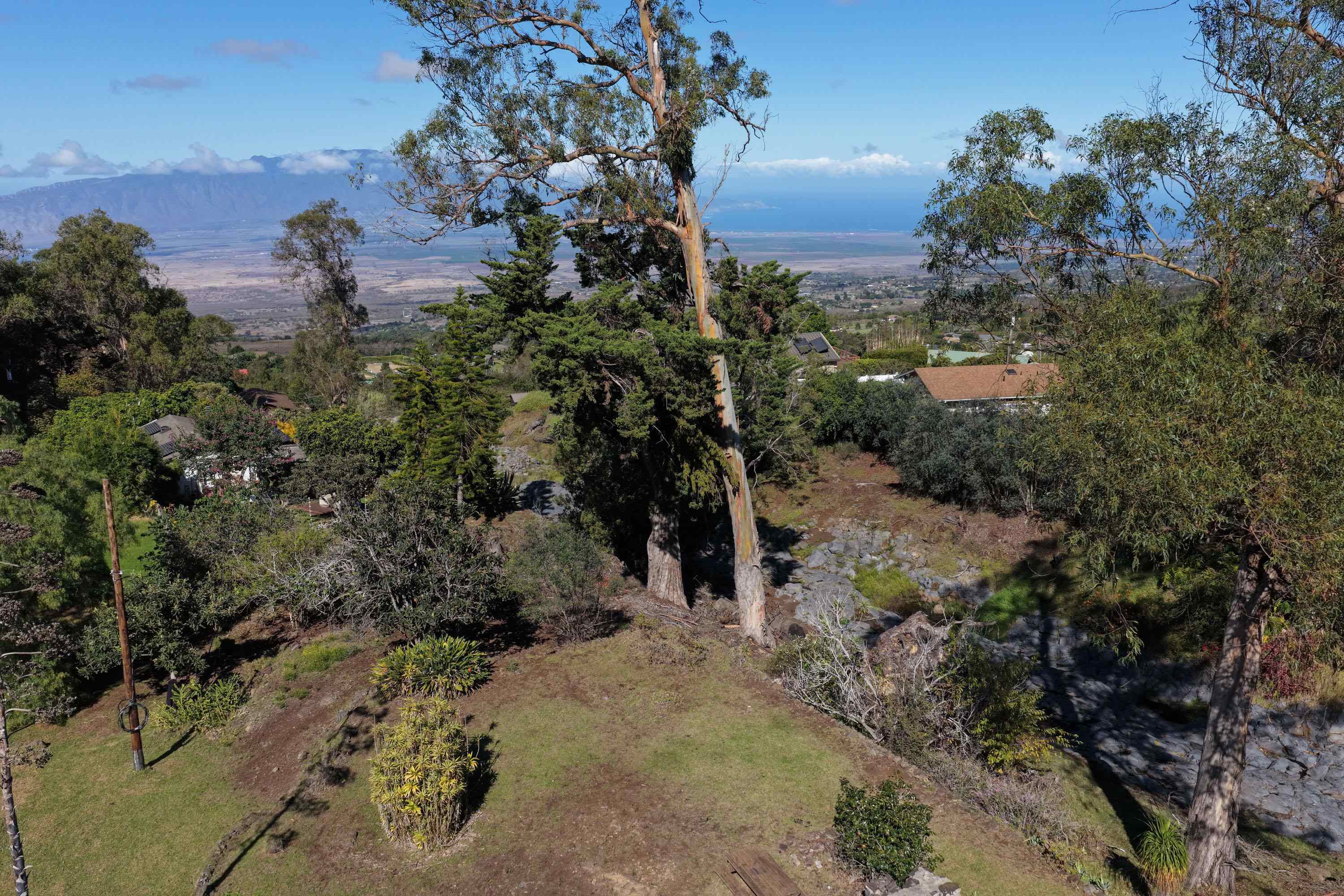 1575 Kamehameiki Rd   - photo 18 of 39