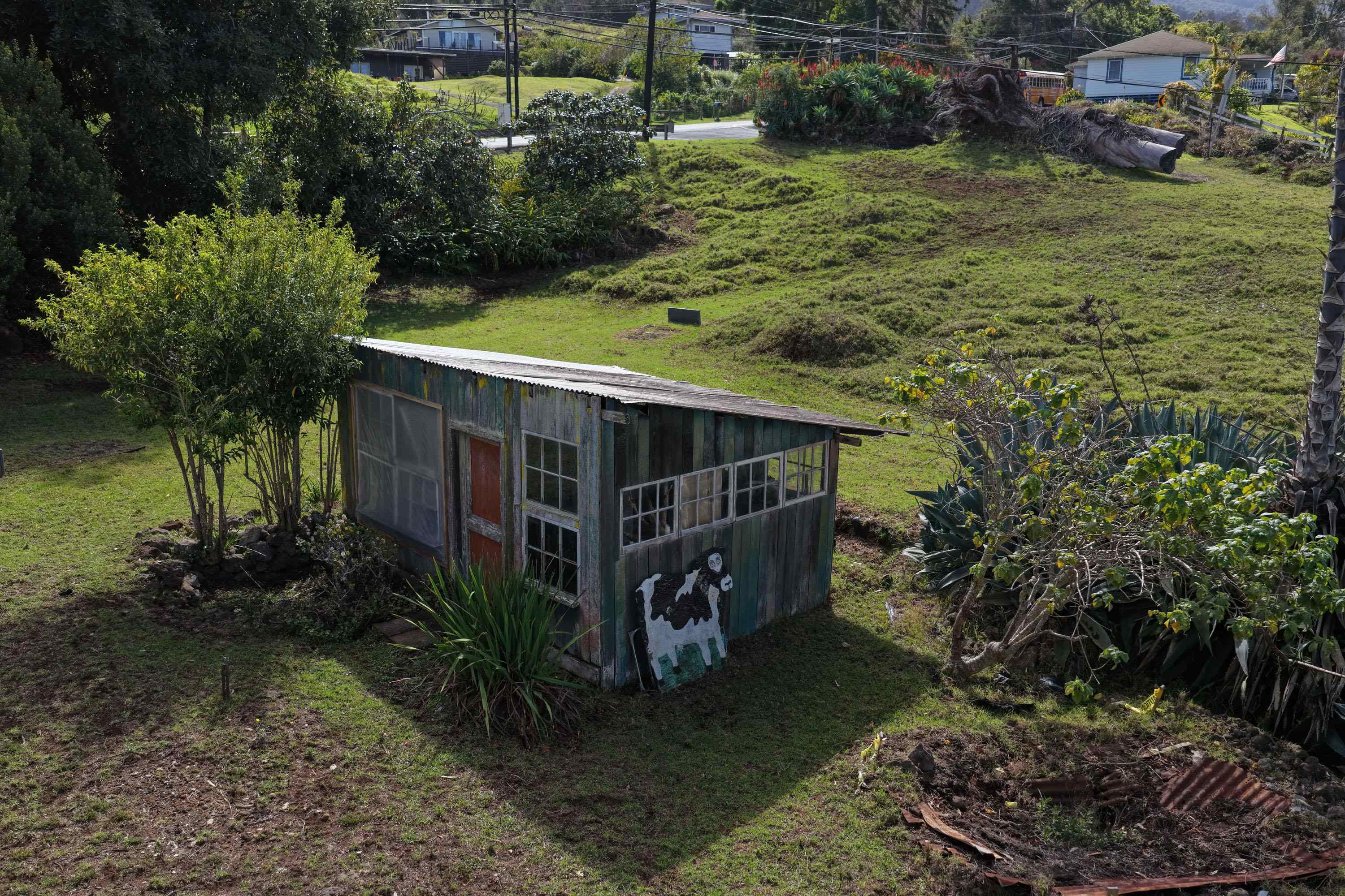 1575 Kamehameiki Rd   - photo 22 of 39