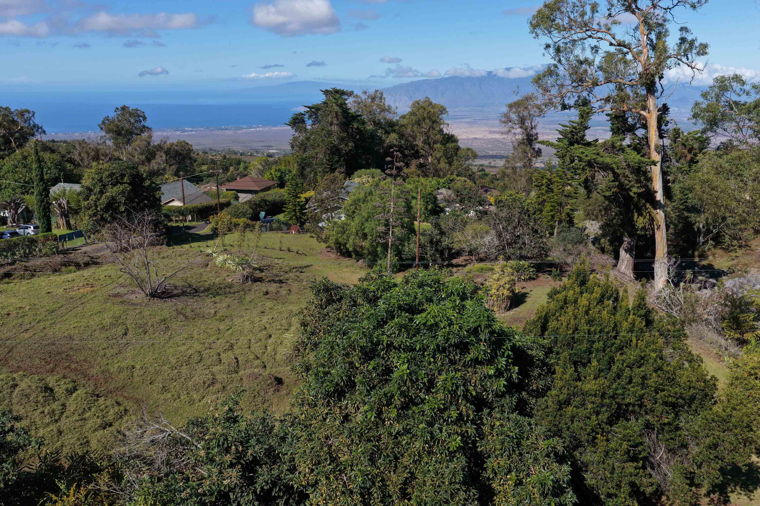 1575 Kamehameiki Rd   - photo 29 of 39