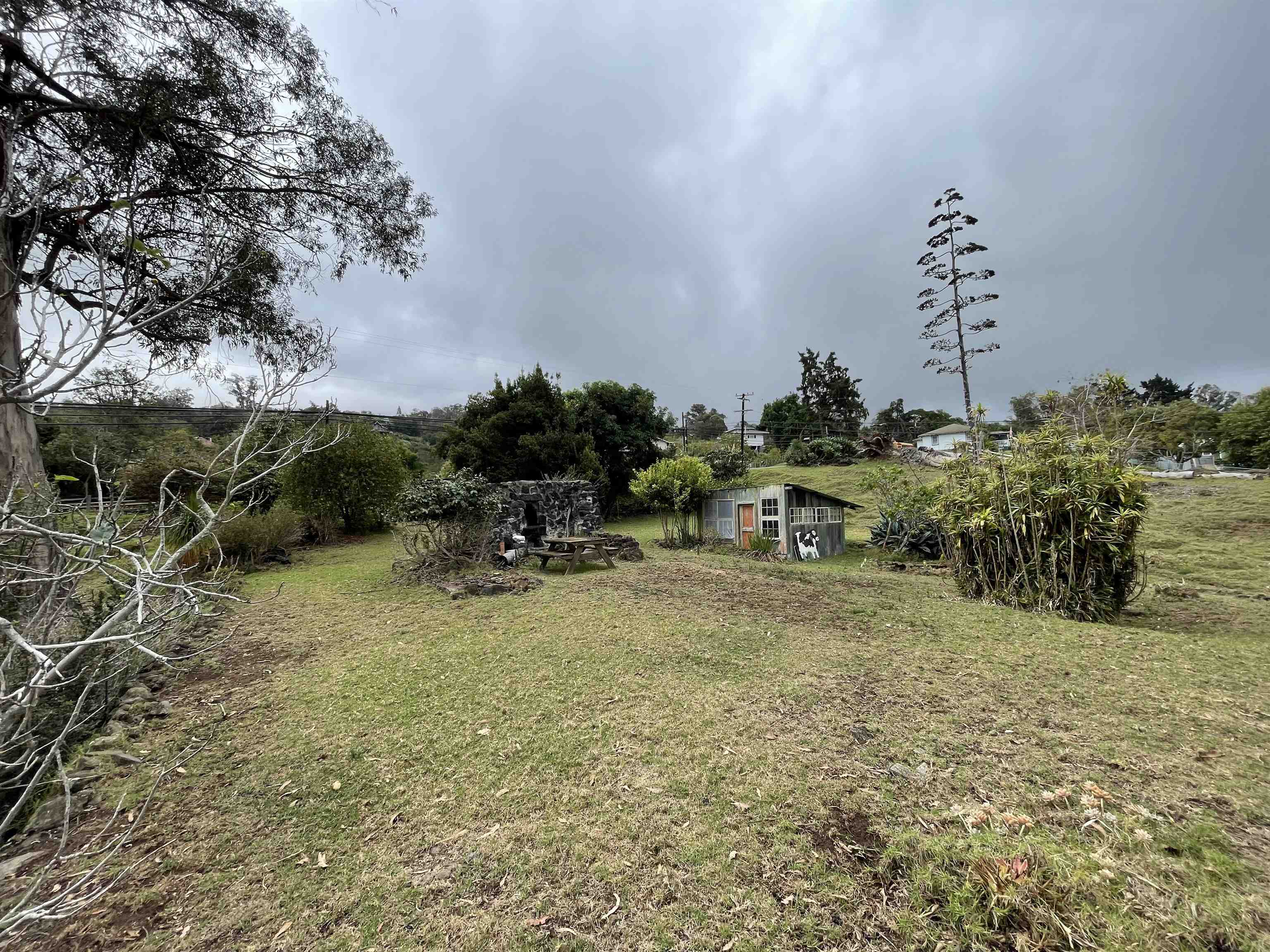 1575 Kamehameiki Rd   - photo 4 of 39